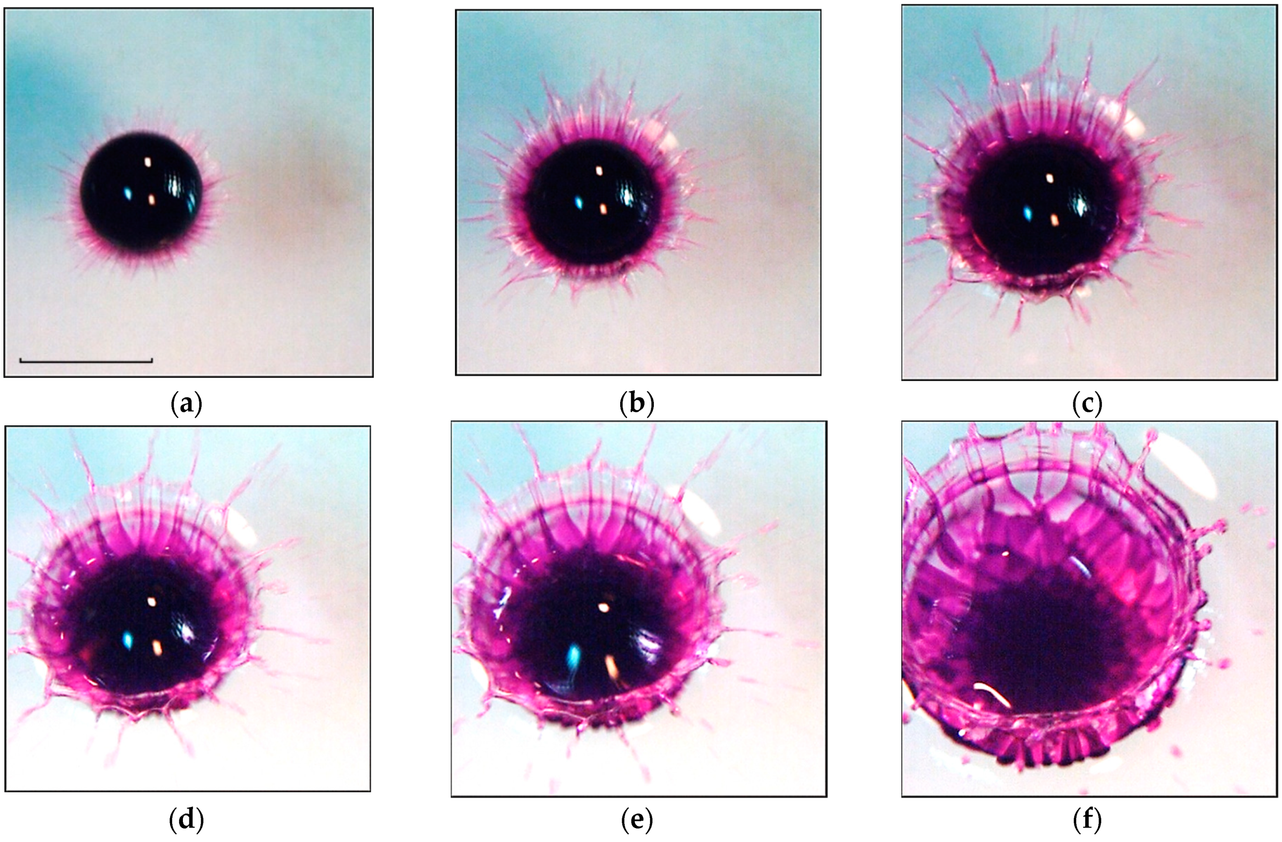 Fluids 08 00269 g010