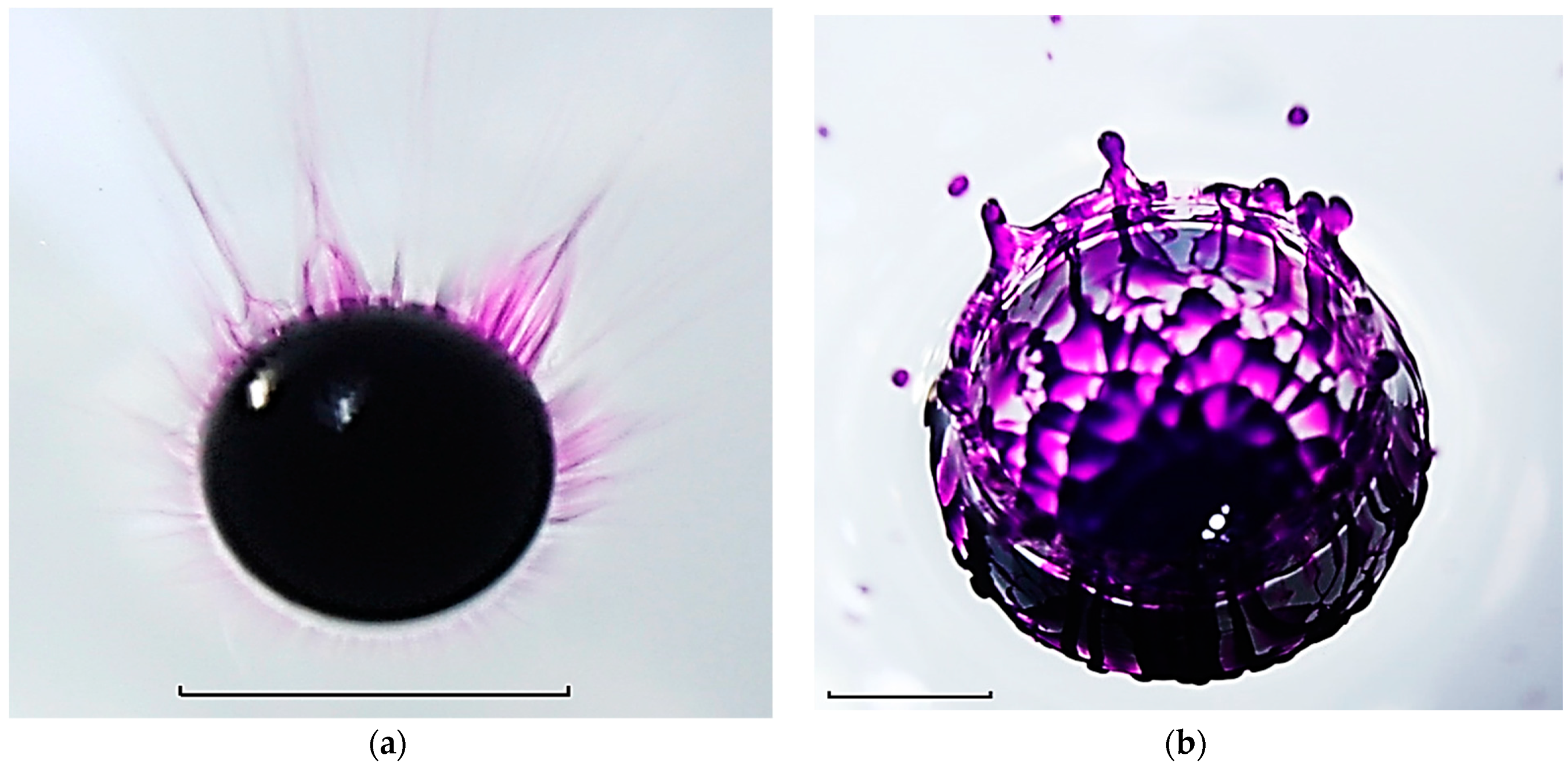 Fluids 08 00269 g011