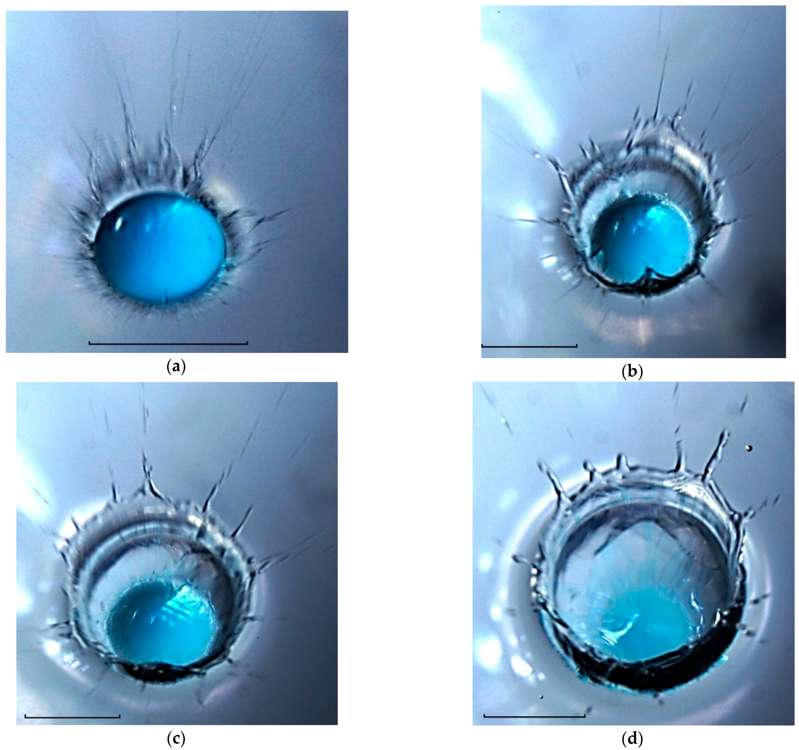 Fluids 08 00269 g012