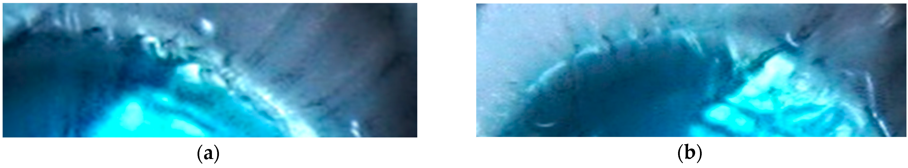 Fluids 08 00269 g013