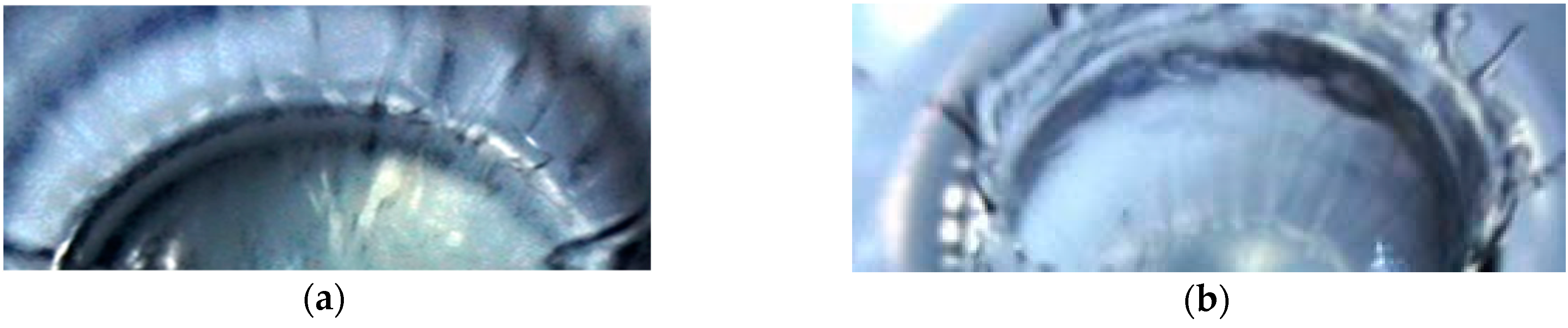 Fluids 08 00269 g015