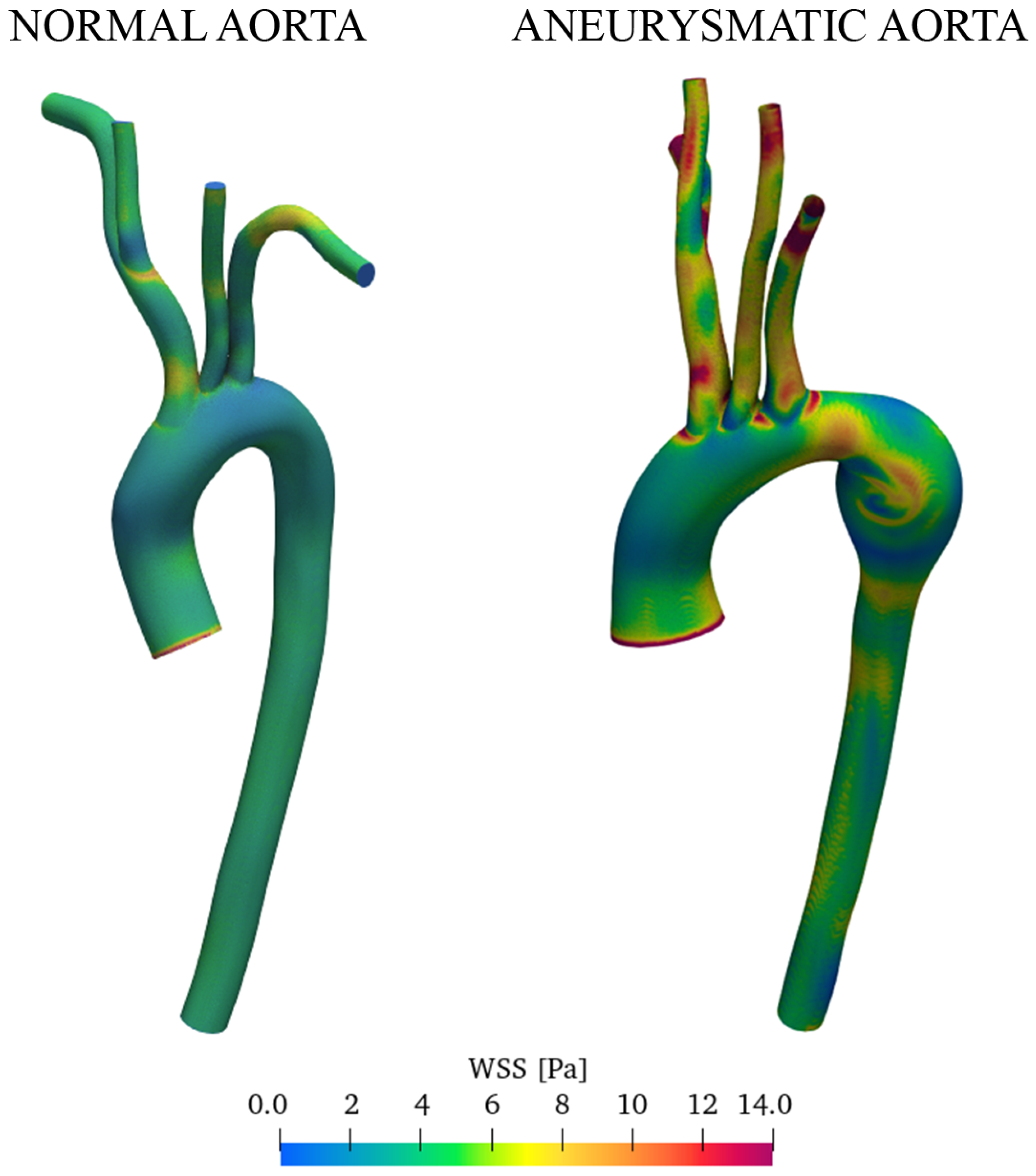 Fluids 08 00272 g012
