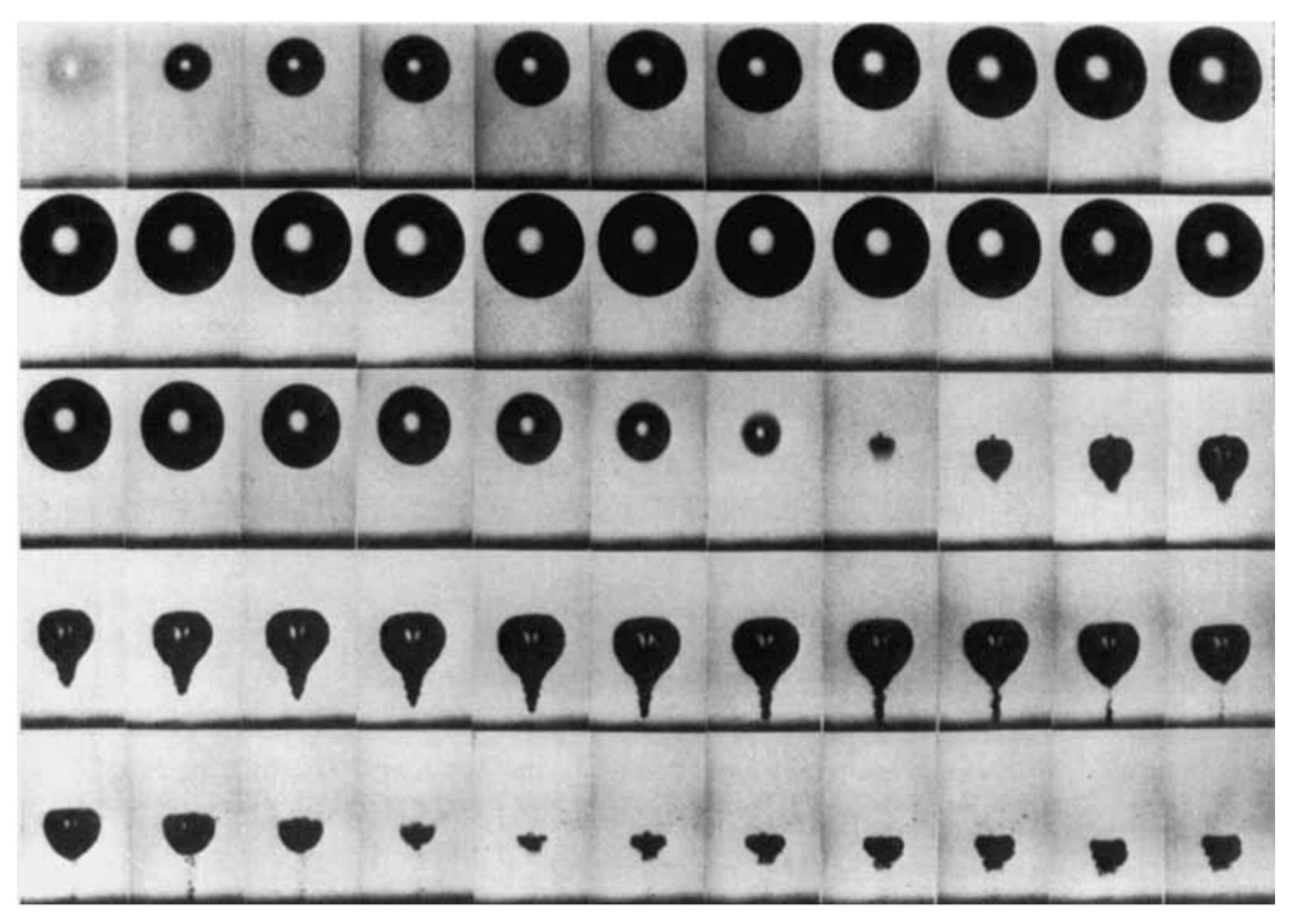 Fluids 08 00274 g002