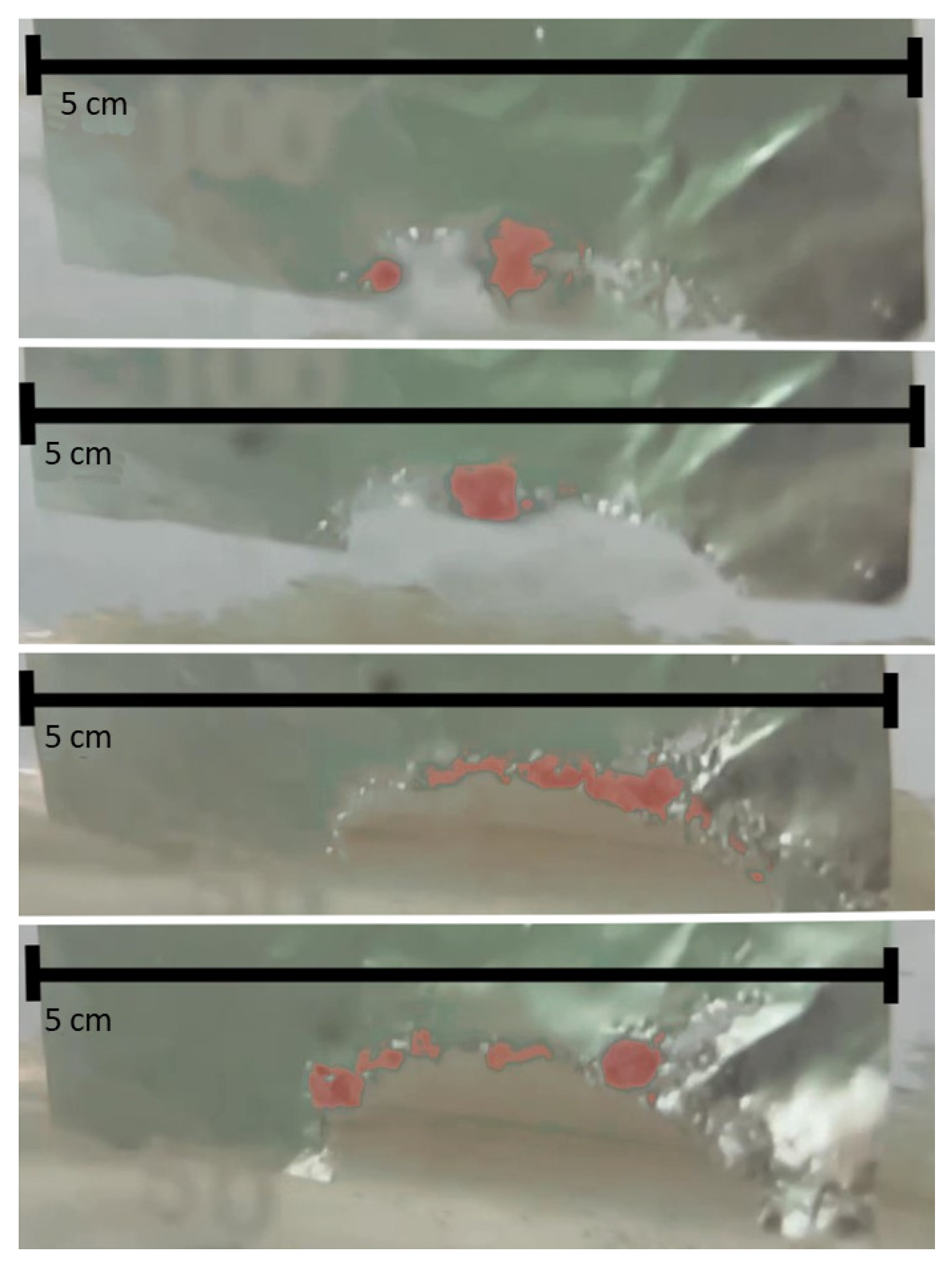 Fluids 08 00274 g009