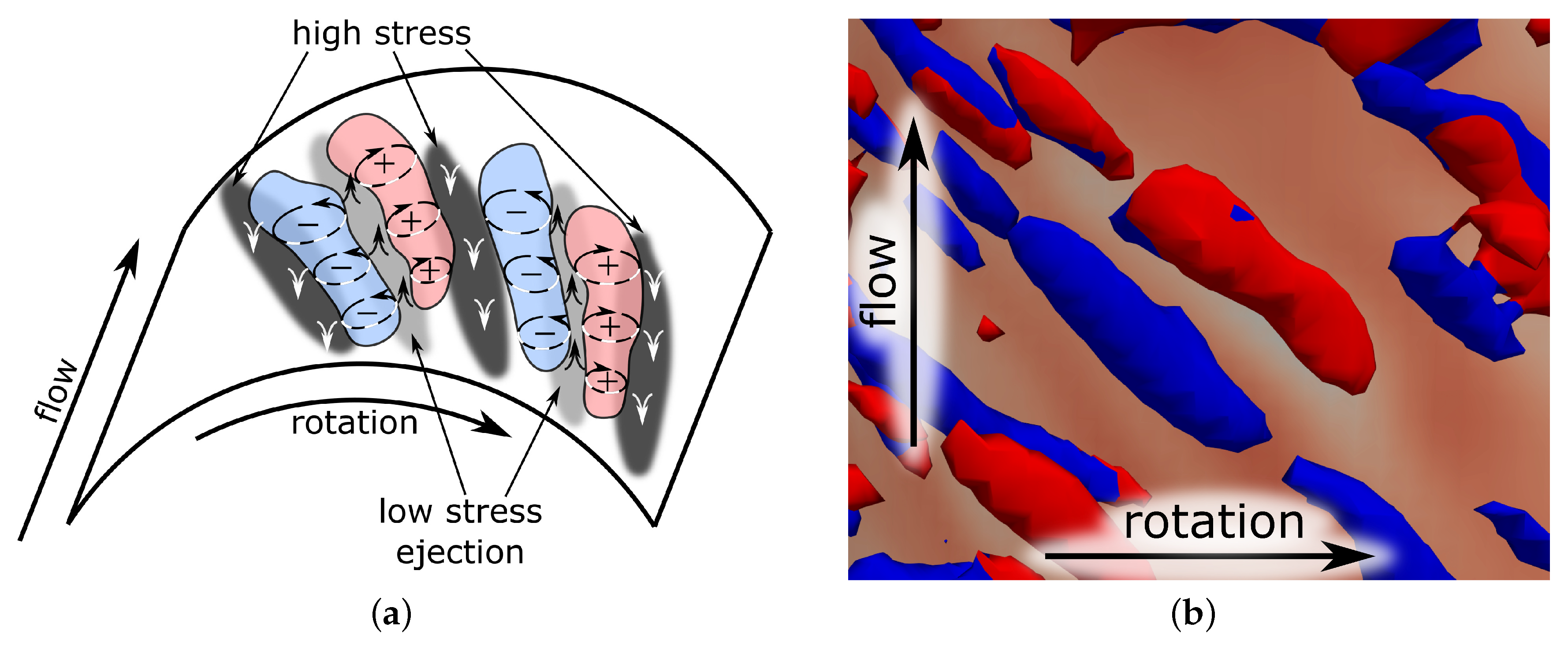 Fluids 08 00280 g008