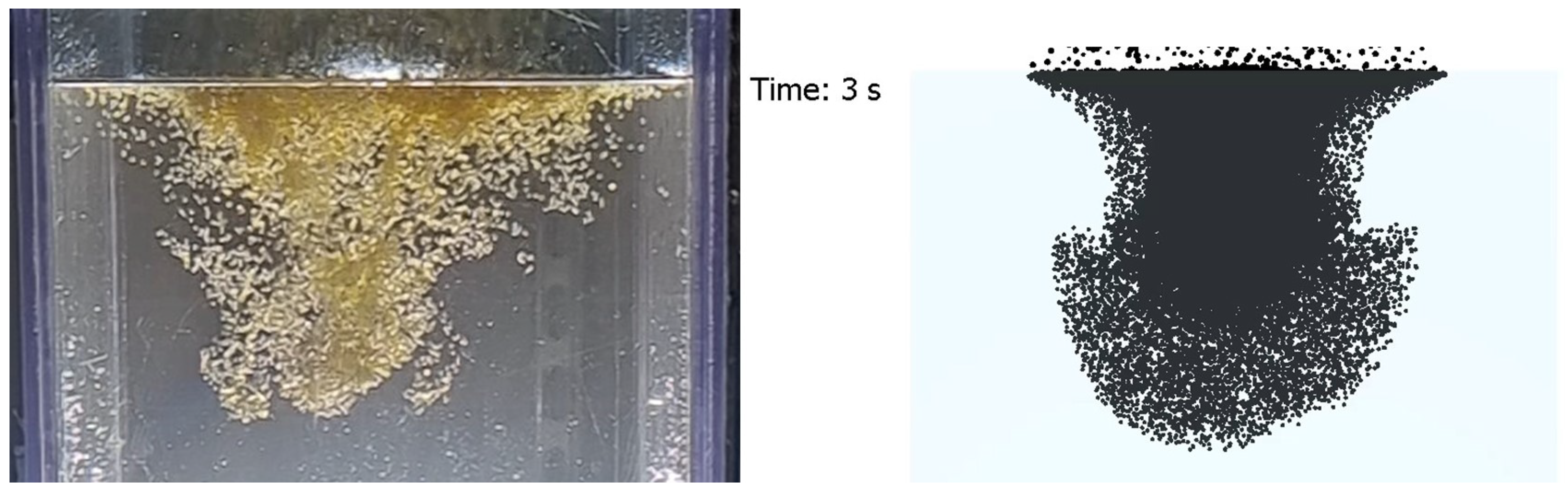 Fluids 08 00283 g013