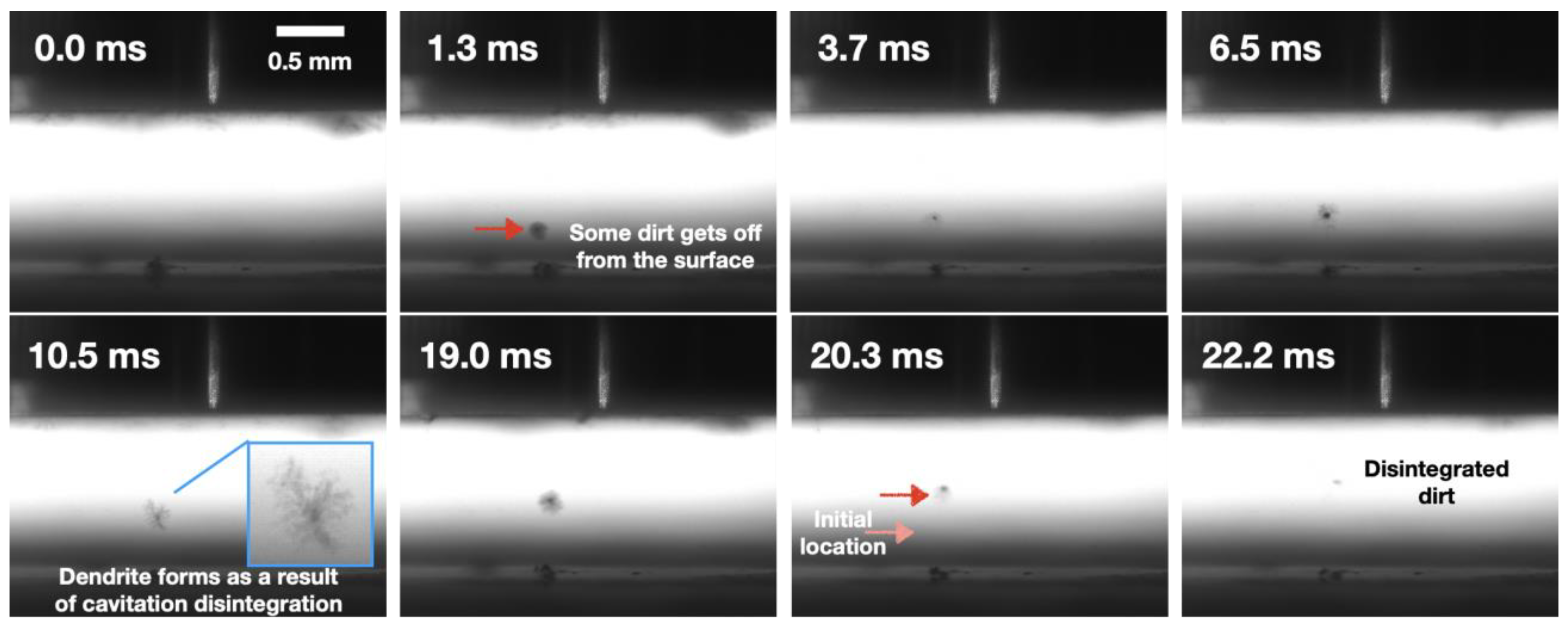 Fluids 08 00291 g008