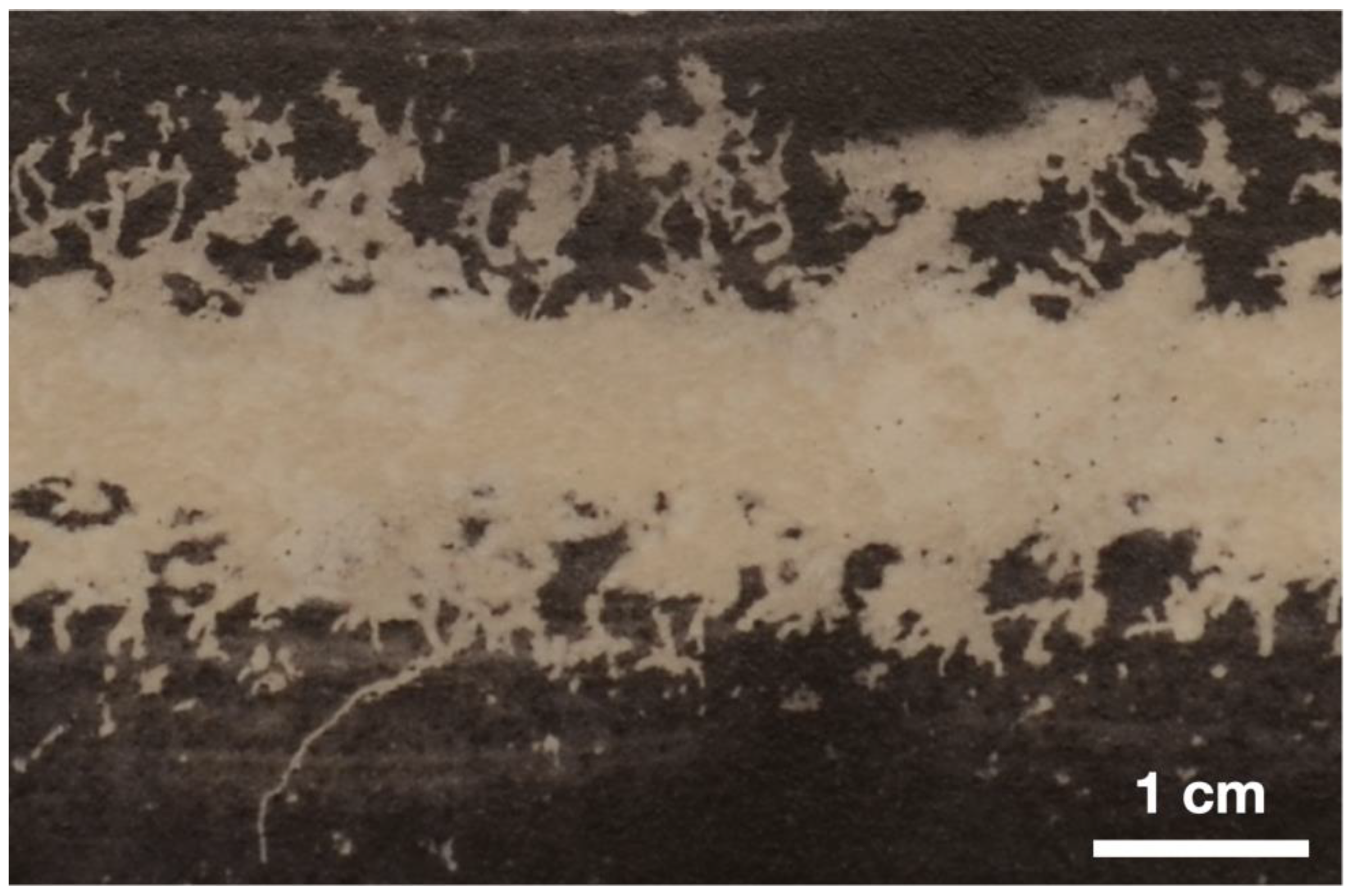 Fluids 08 00291 g009