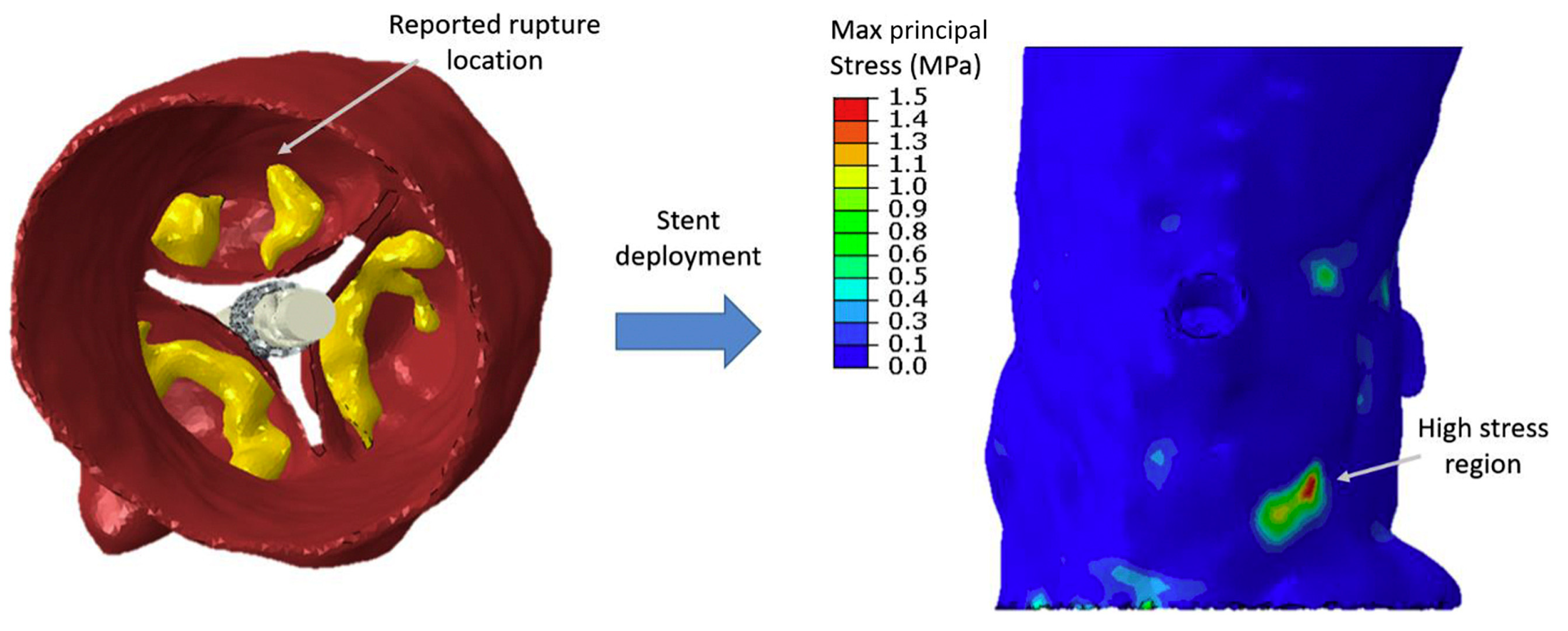 Fluids 08 00295 g010