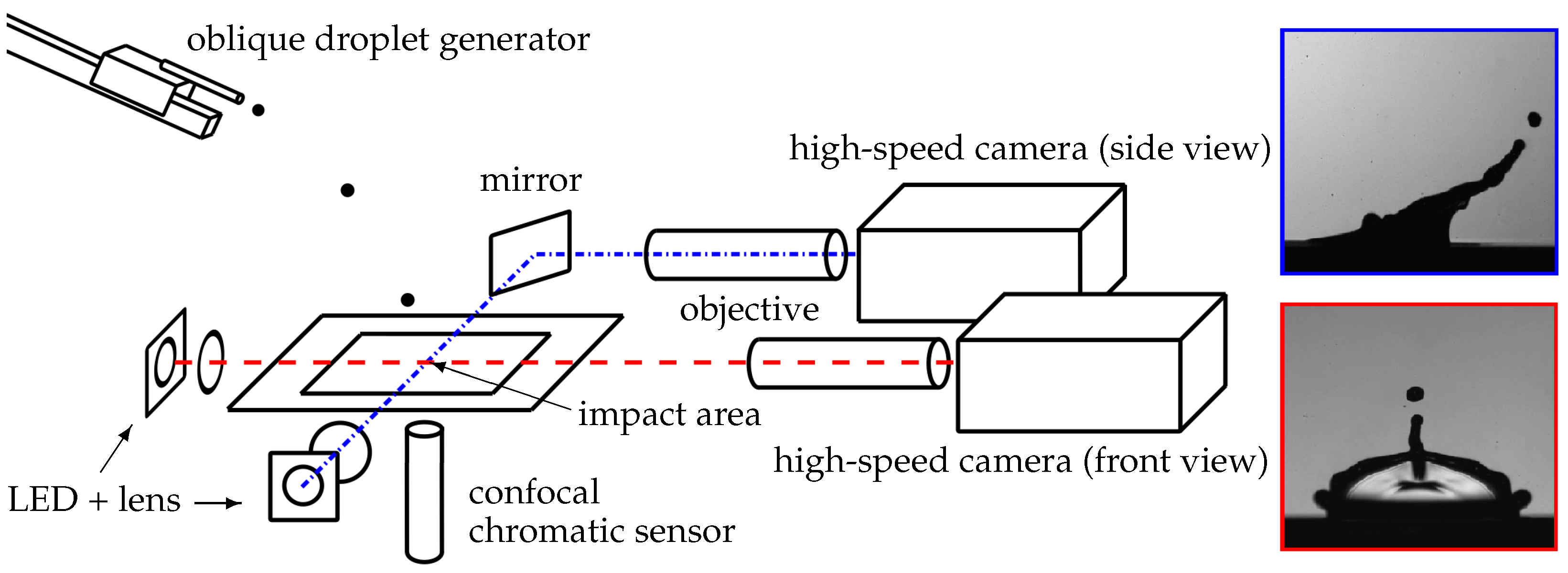 Fluids 08 00301 g003