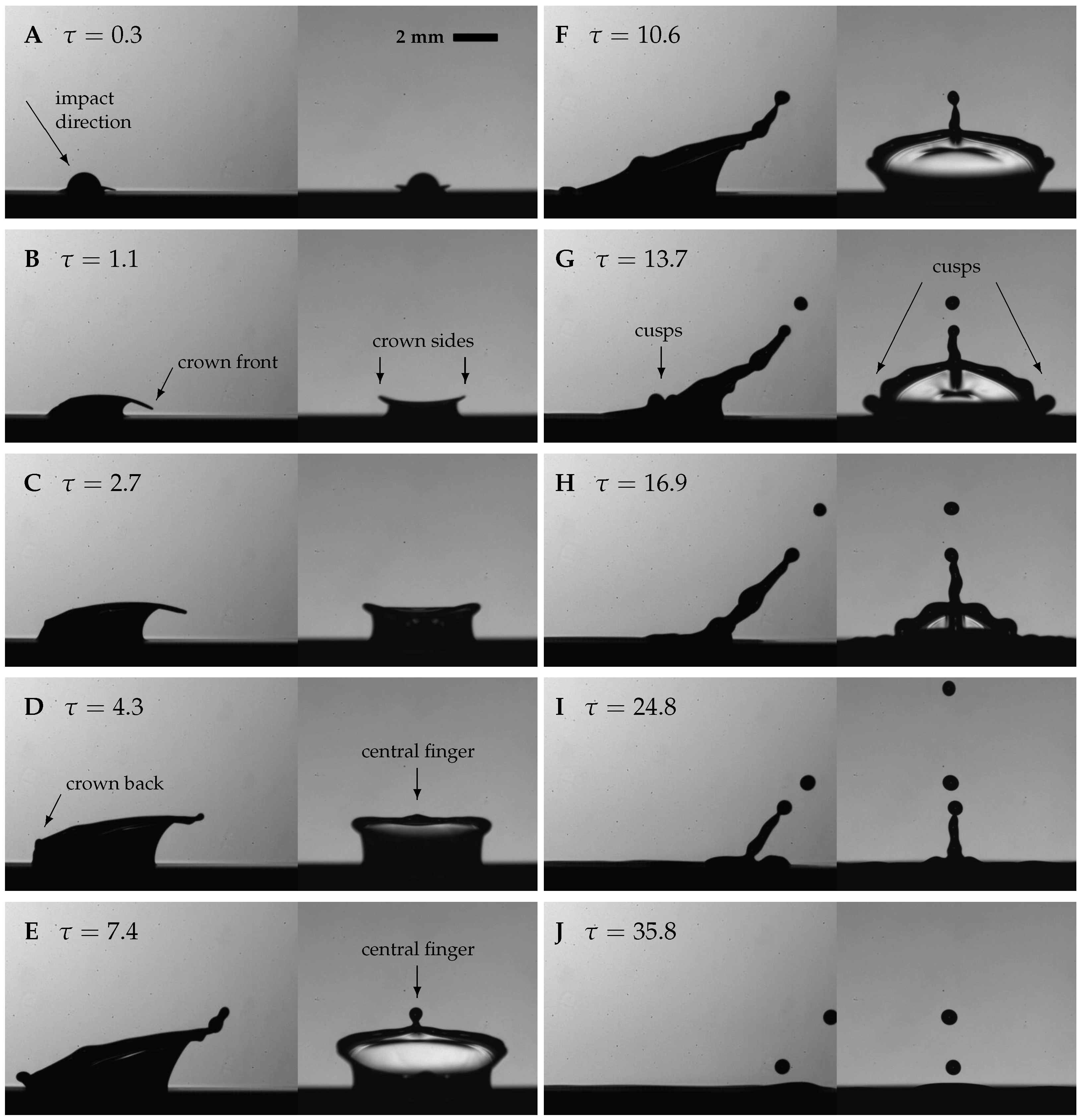 Fluids 08 00301 g005
