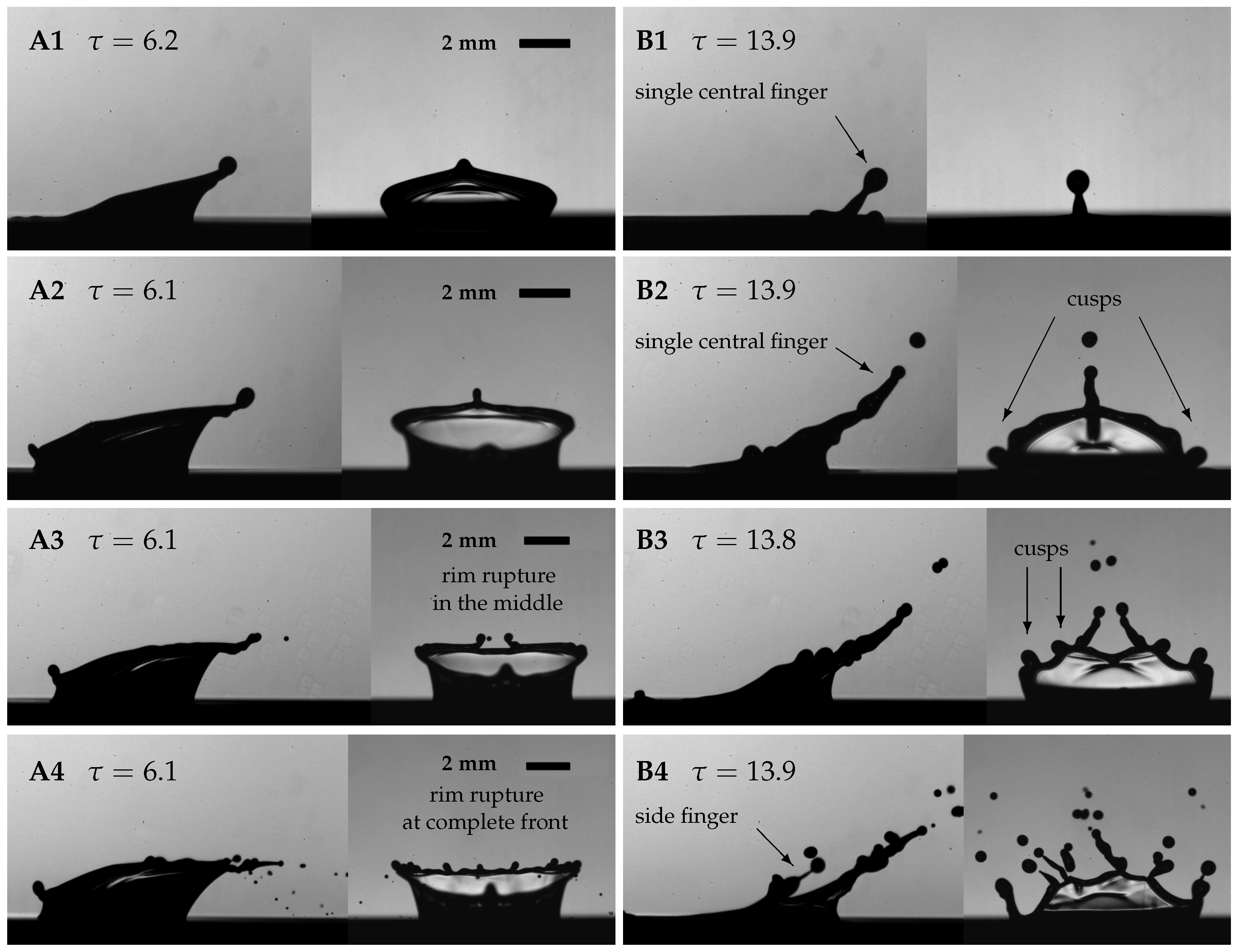Fluids 08 00301 g008
