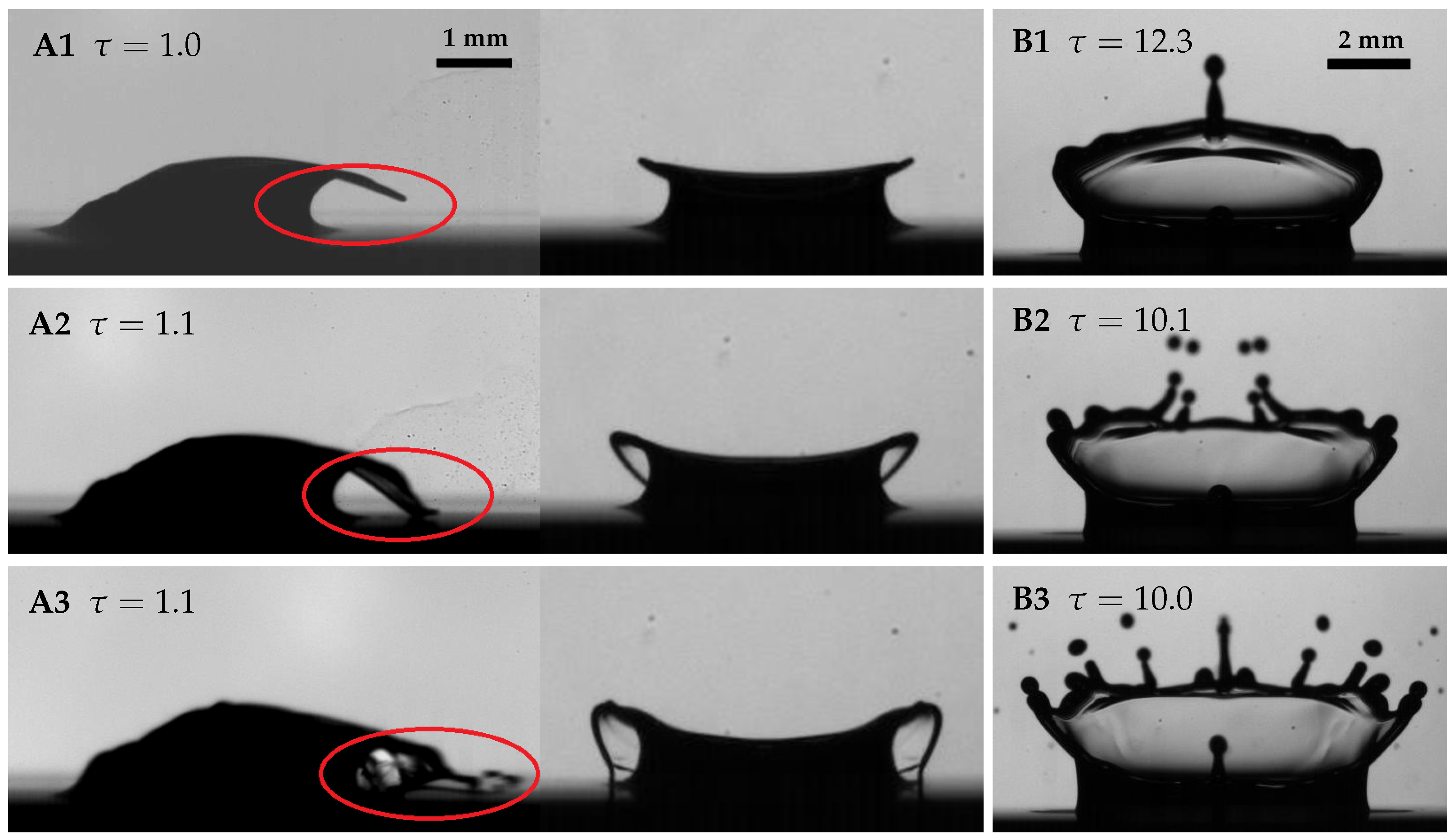 Fluids 08 00301 g009