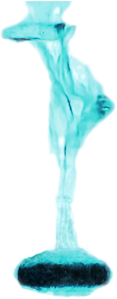 Fluids 08 00315 g001