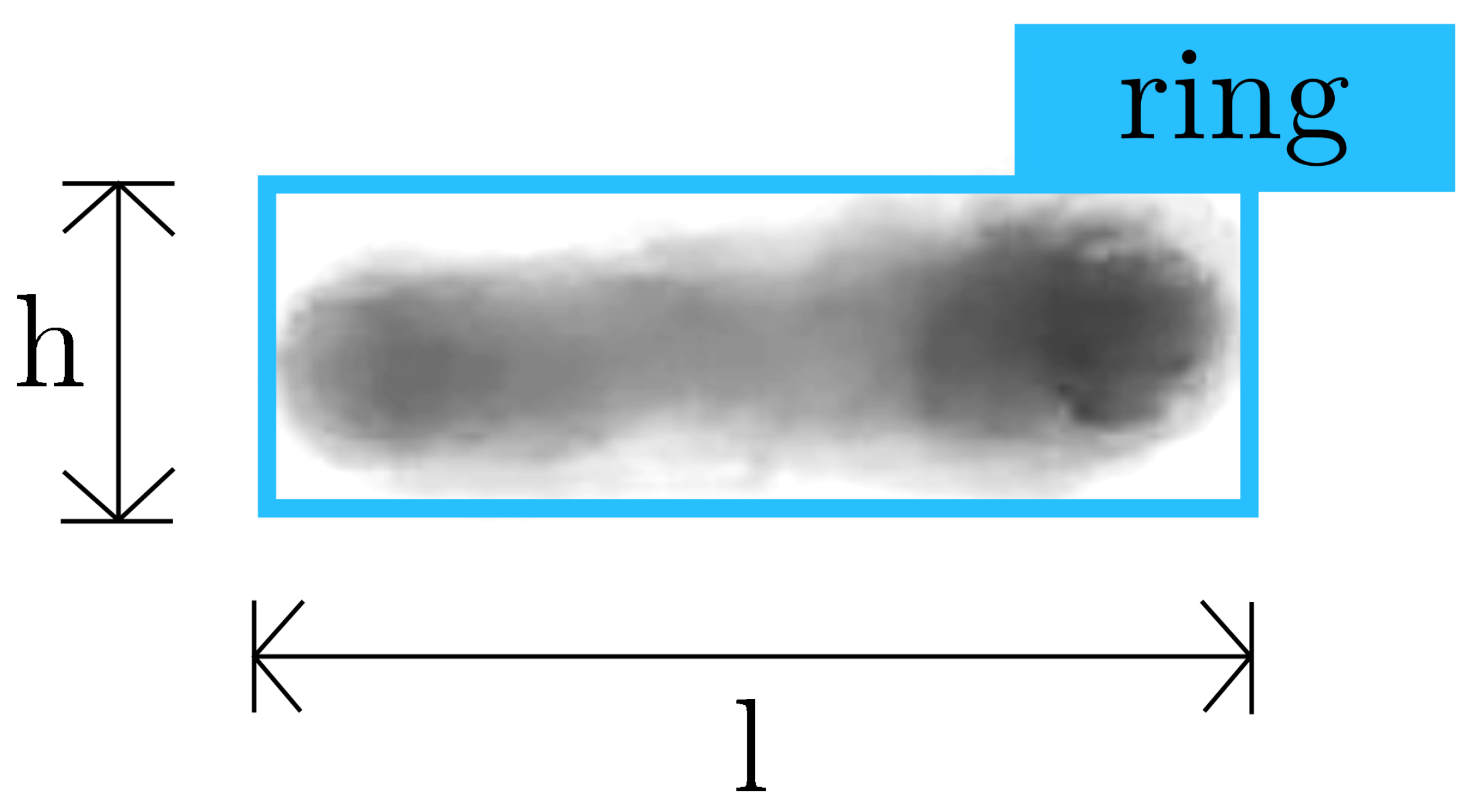 Fluids 08 00315 g009