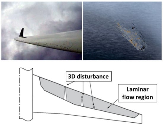 Fluids 09 00008 g001