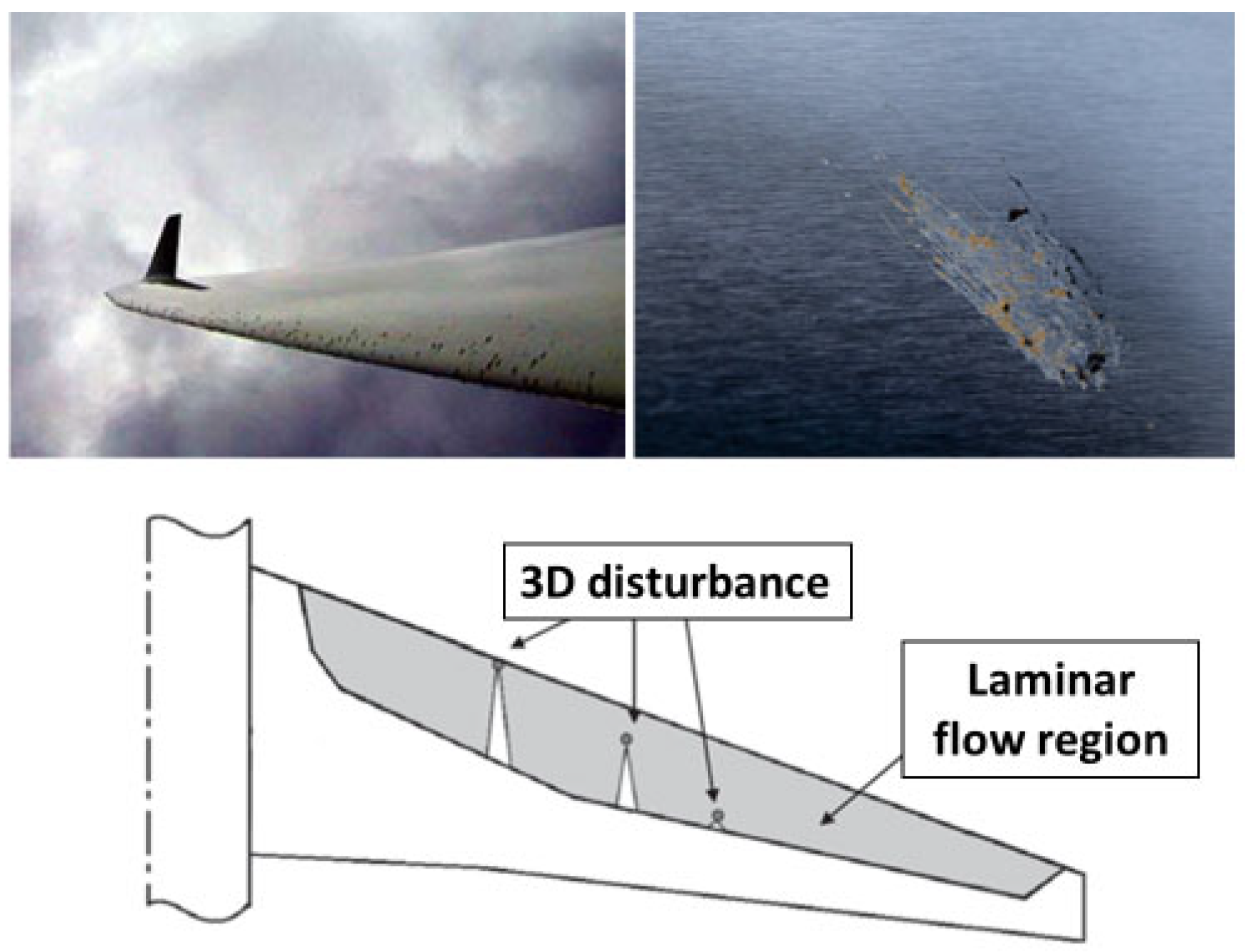 Fluids 09 00008 g001