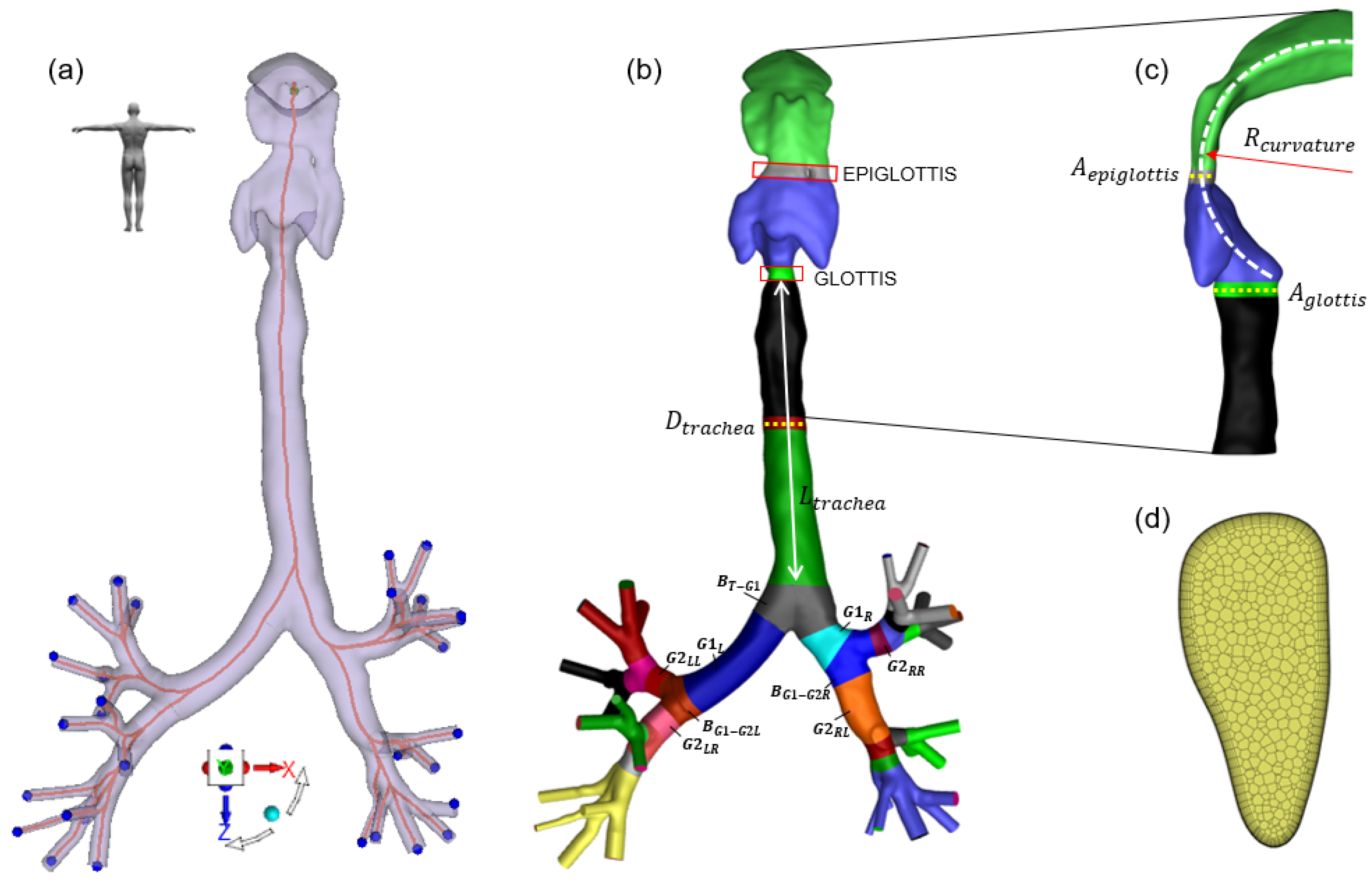 Fluids 09 00027 g001