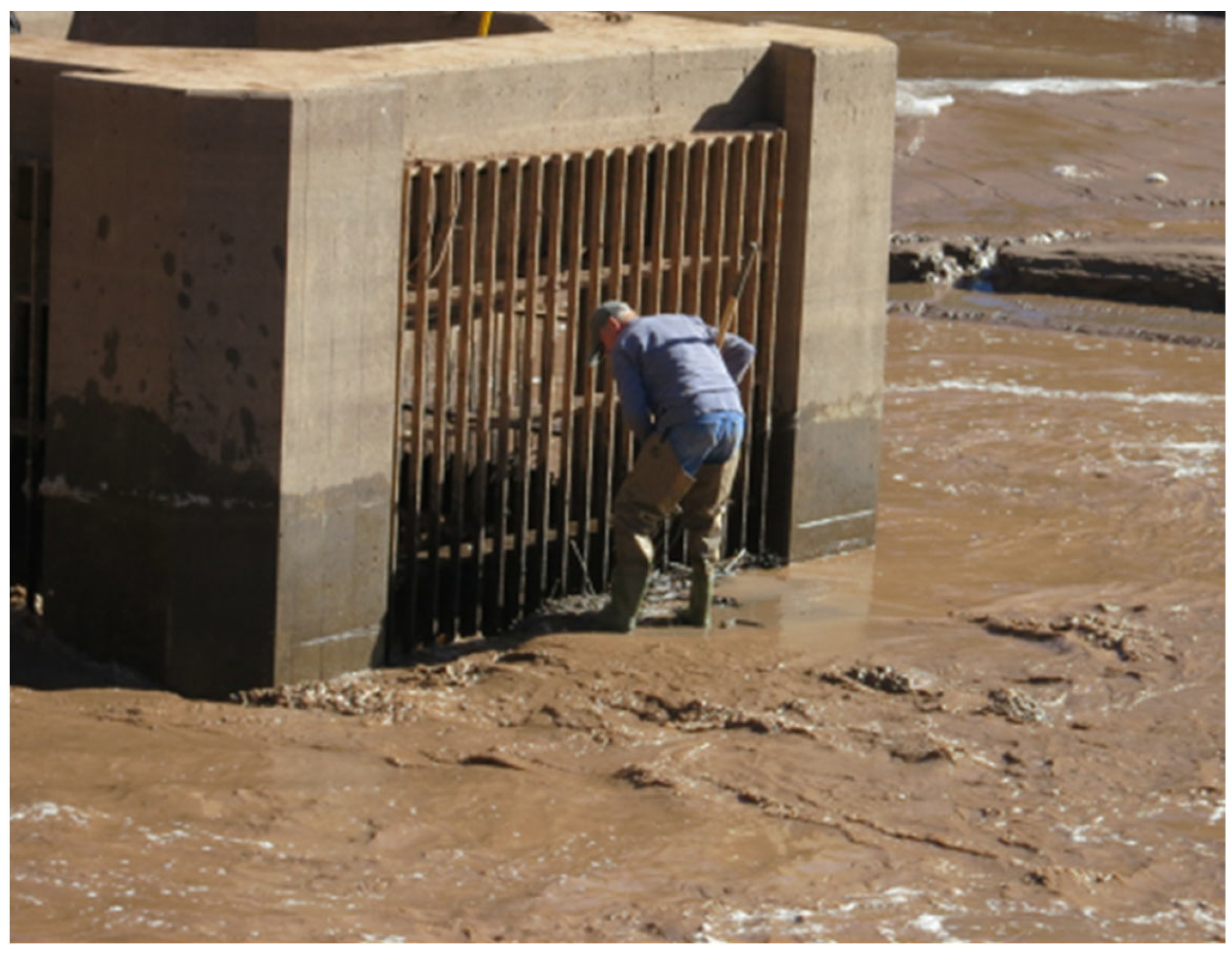 Fluids 09 00038 g006