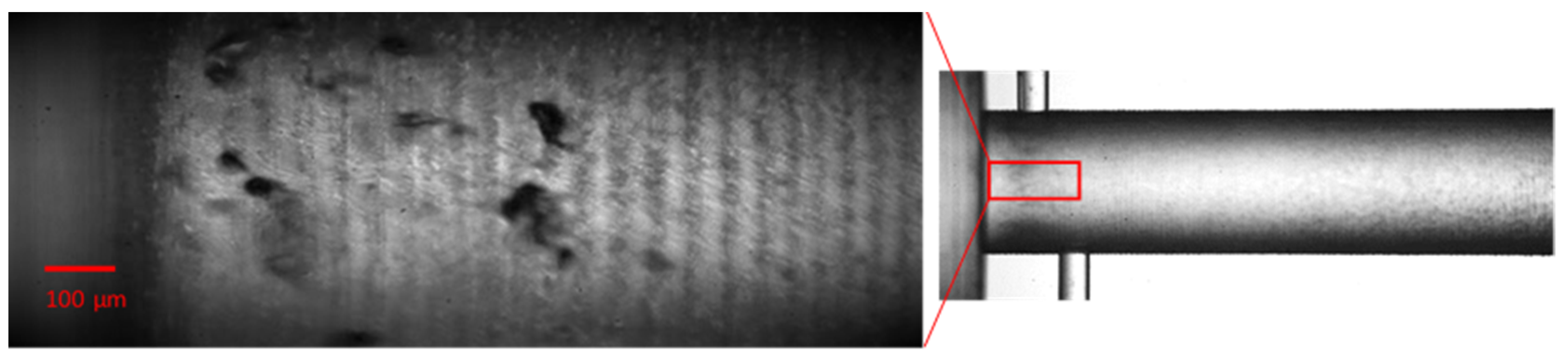 Fluids 09 00041 g008