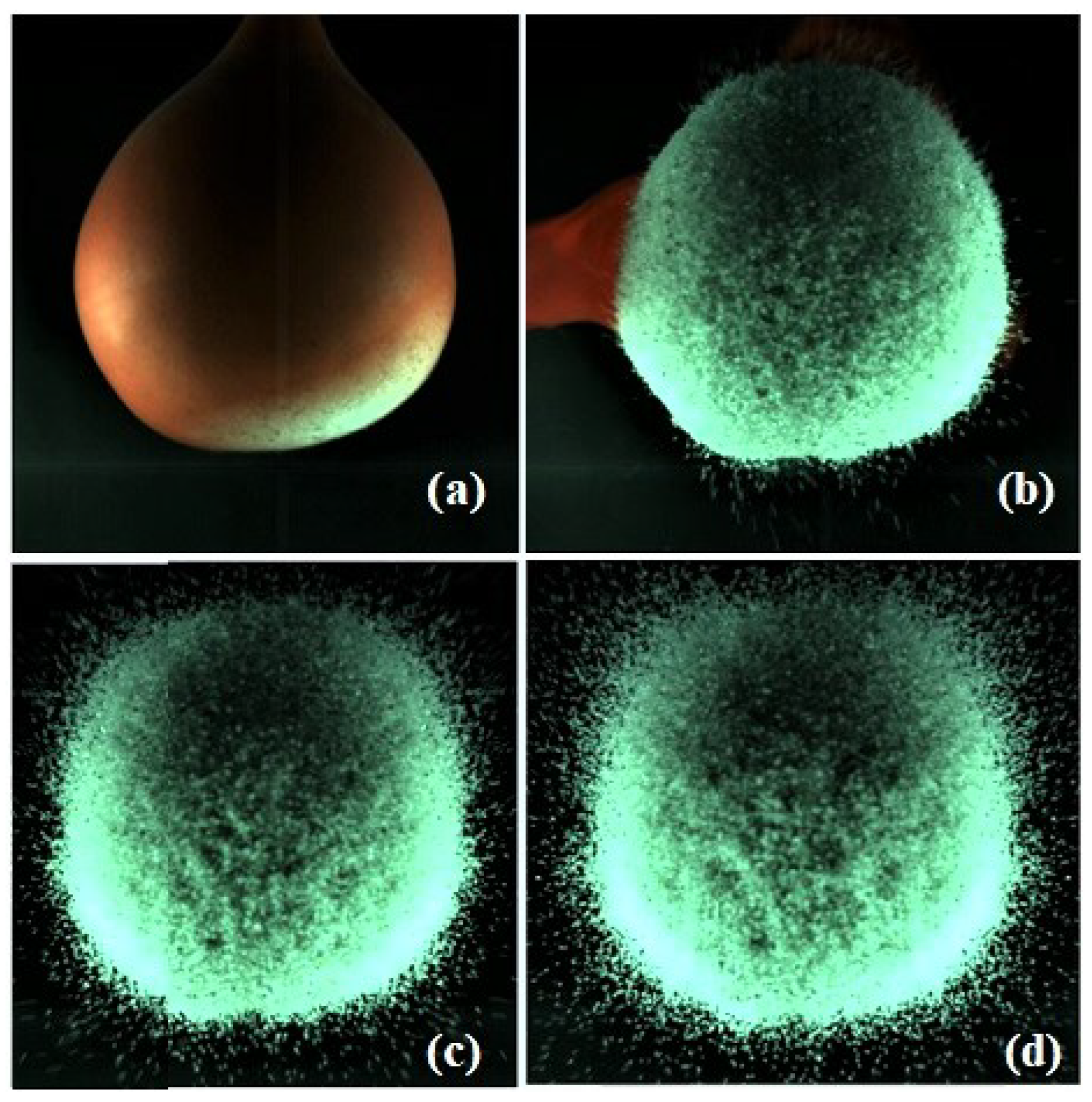 Fluids 09 00049 g003