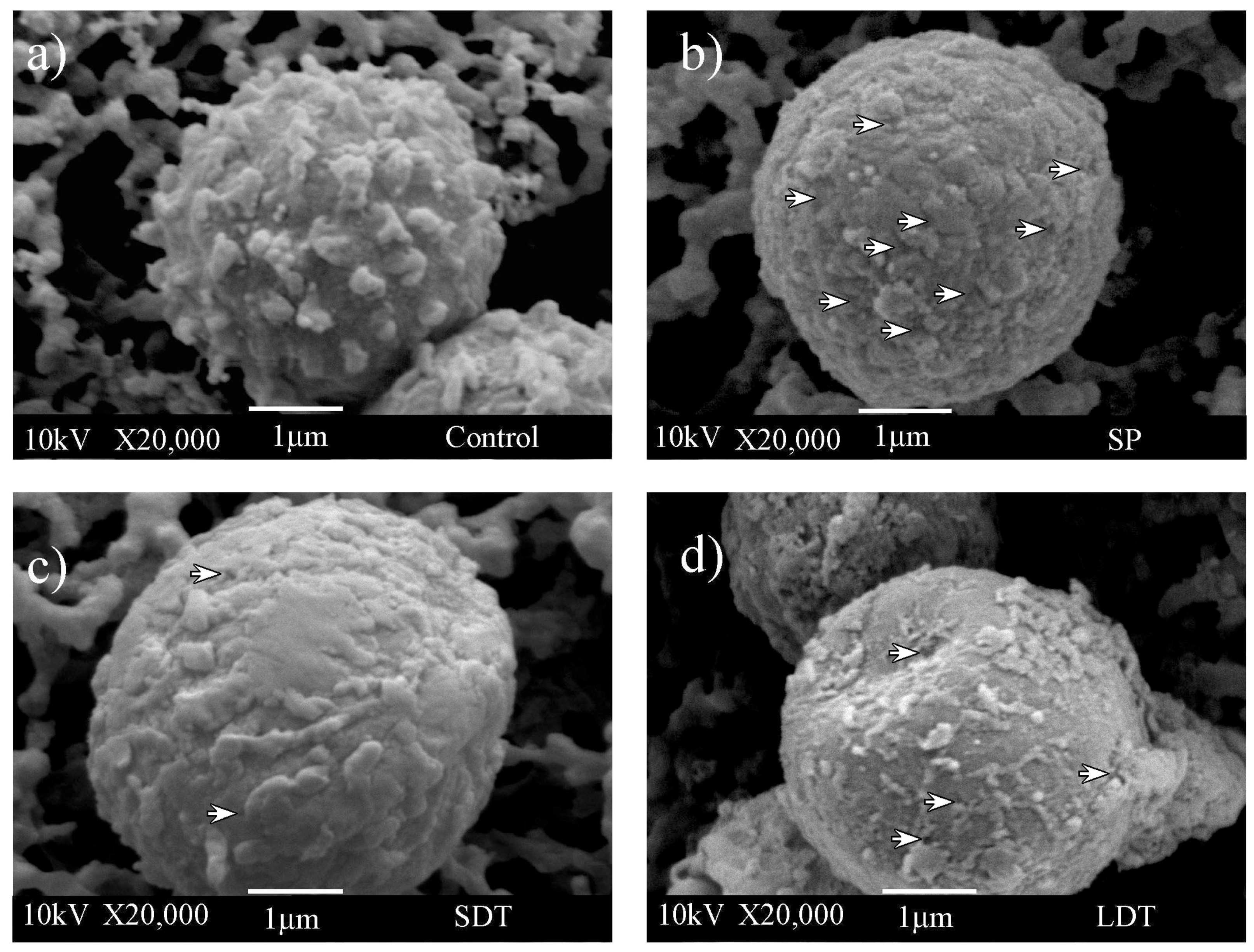 Fluids 09 00081 g003 Fluids 09 00081 g003