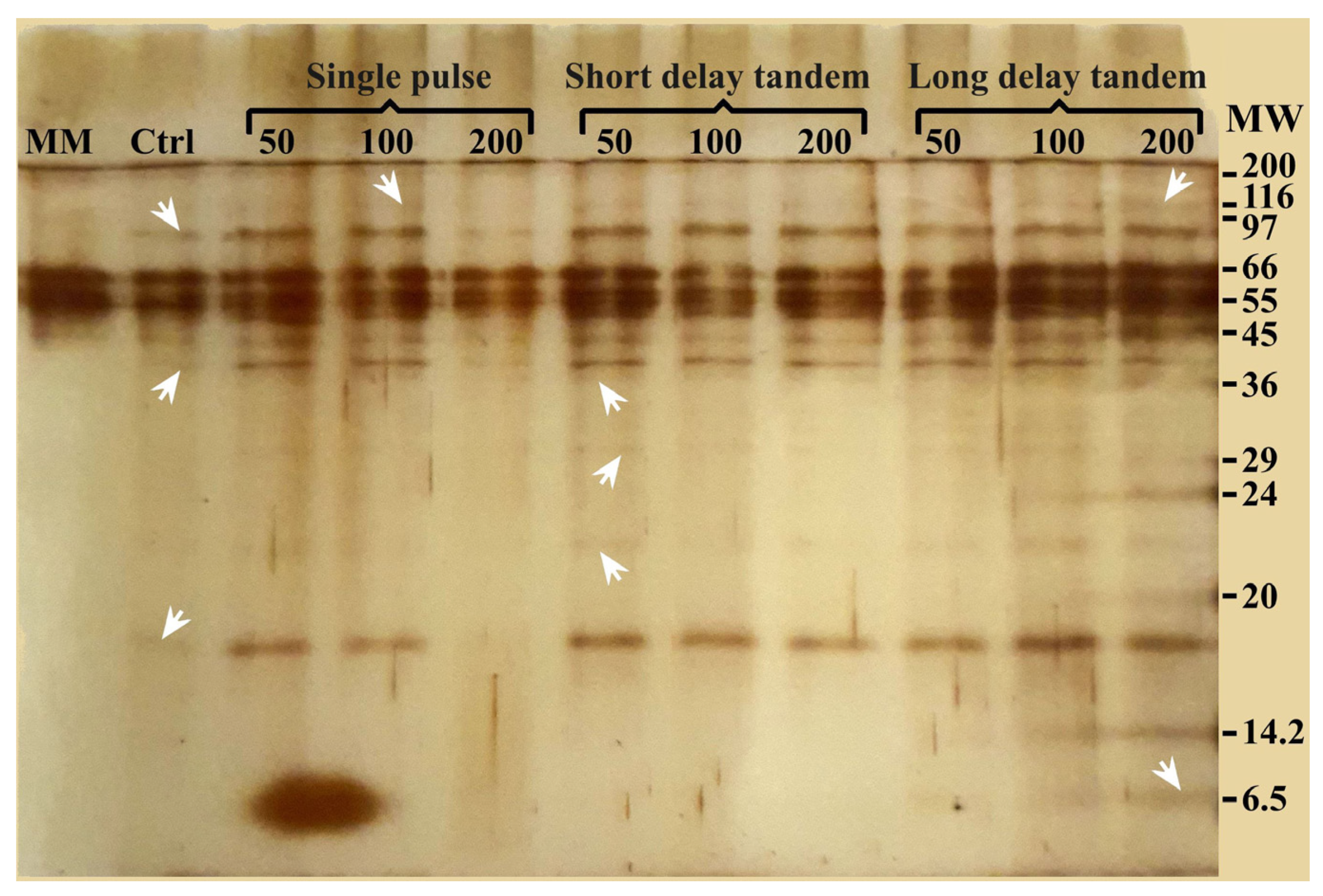 Fluids 09 00081 g006 Fluids 09 00081 g006