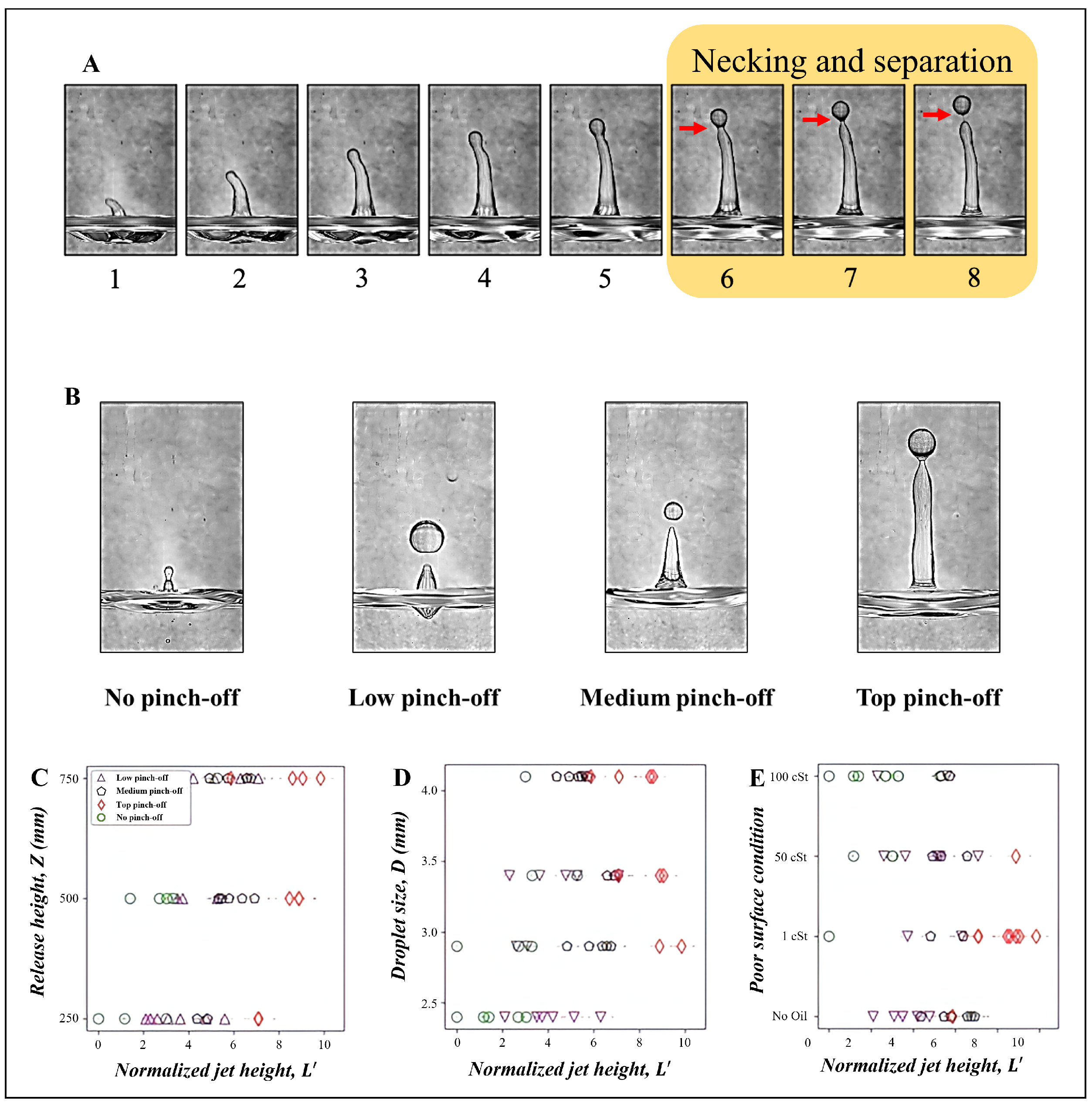 Fluids 09 00082 g006