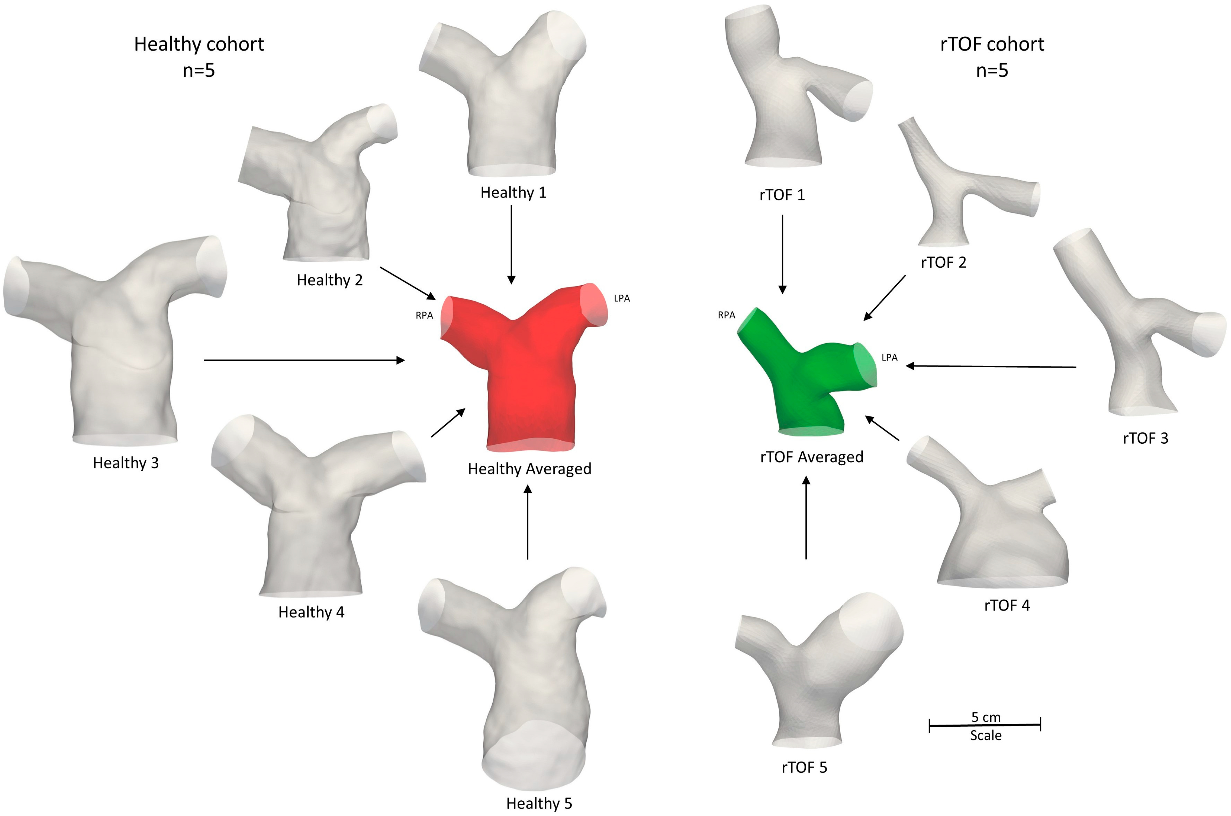 Fluids 09 00085 g003