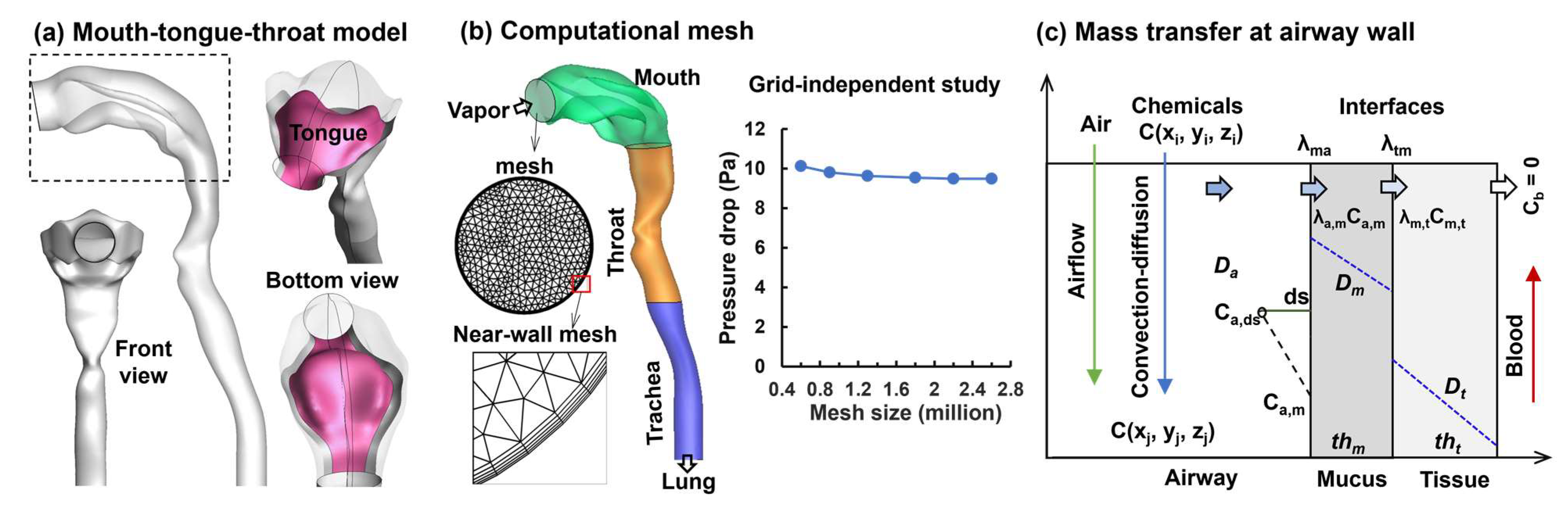 Fluids 09 00104 g002