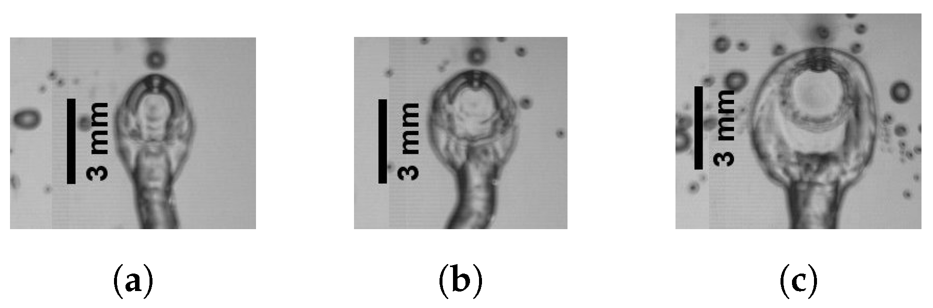 Fluids 09 00117 g005