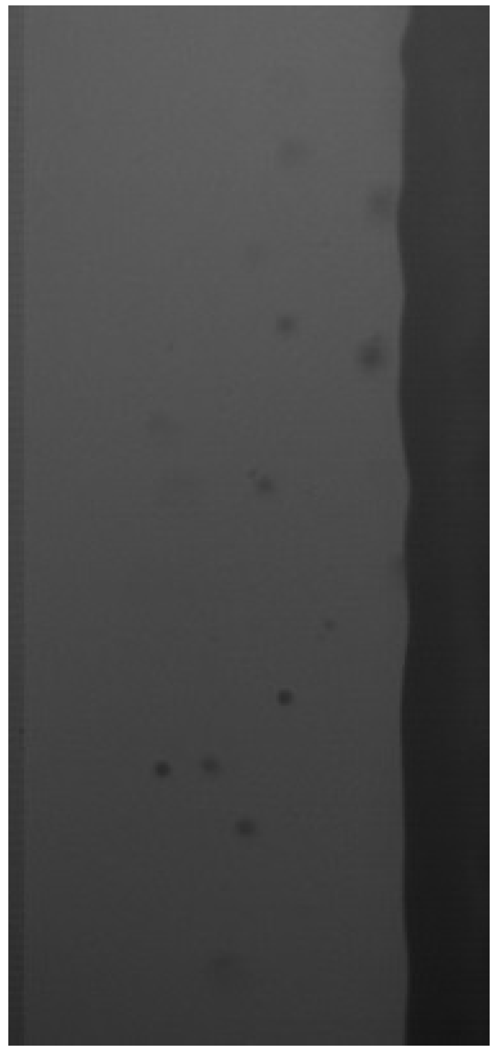 Fluids 09 00117 g007