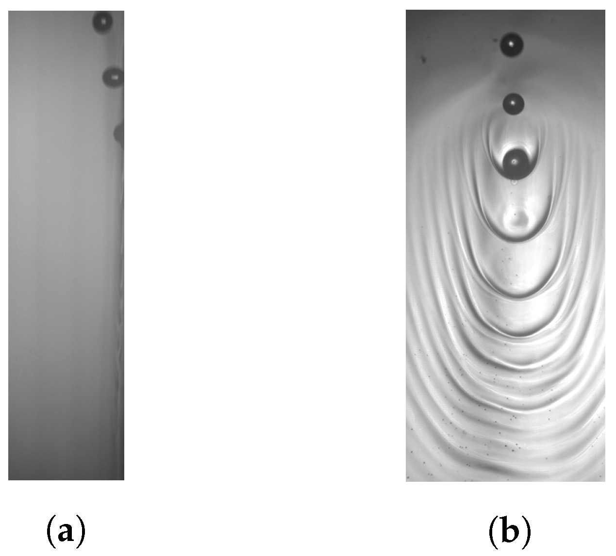 Fluids 09 00117 g009