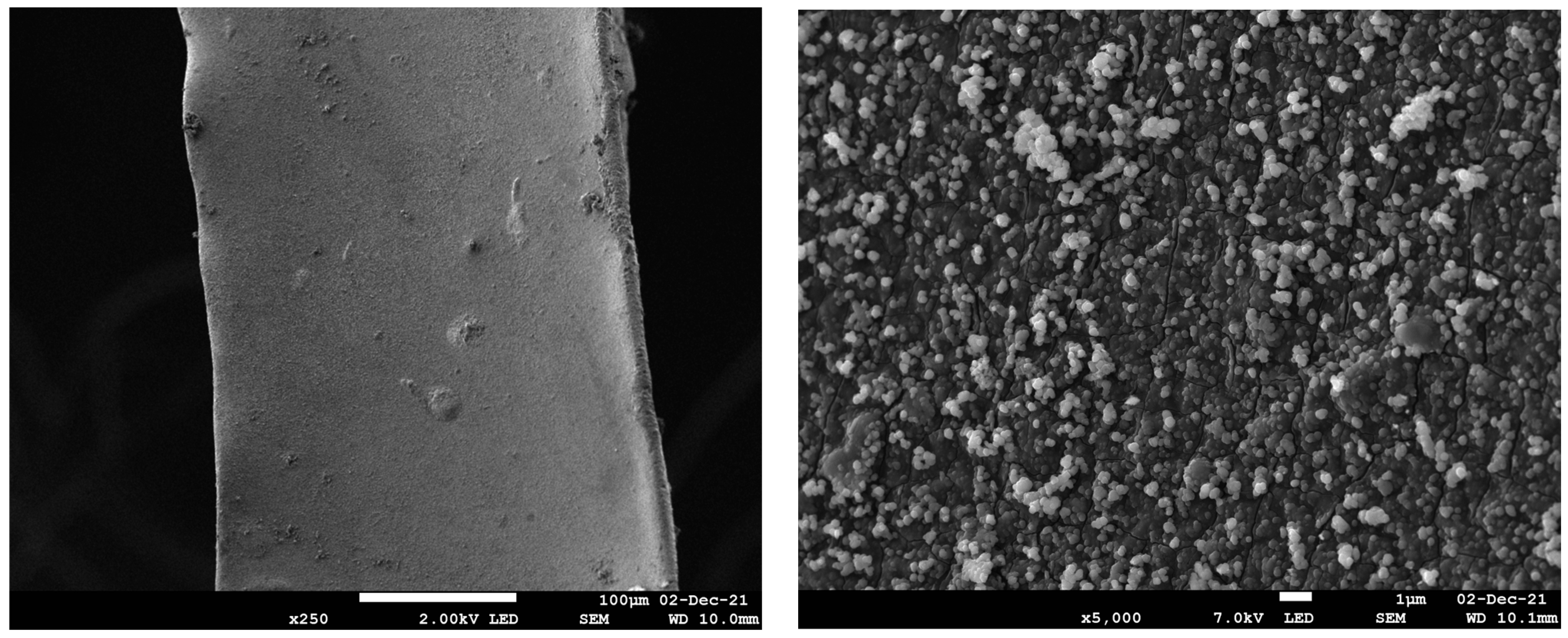 Fluids 09 00132 g001