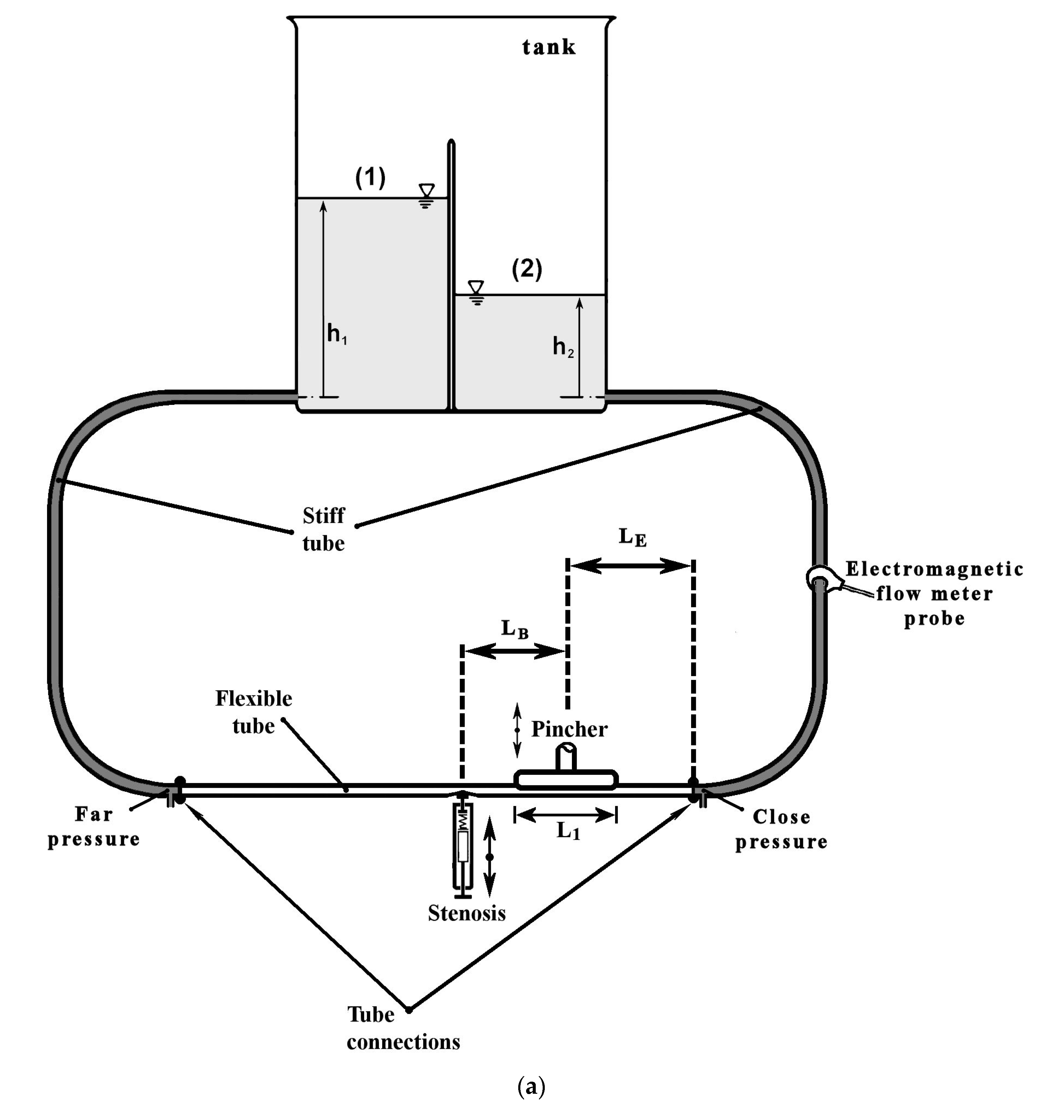 Fluids 09 00141 g001a
