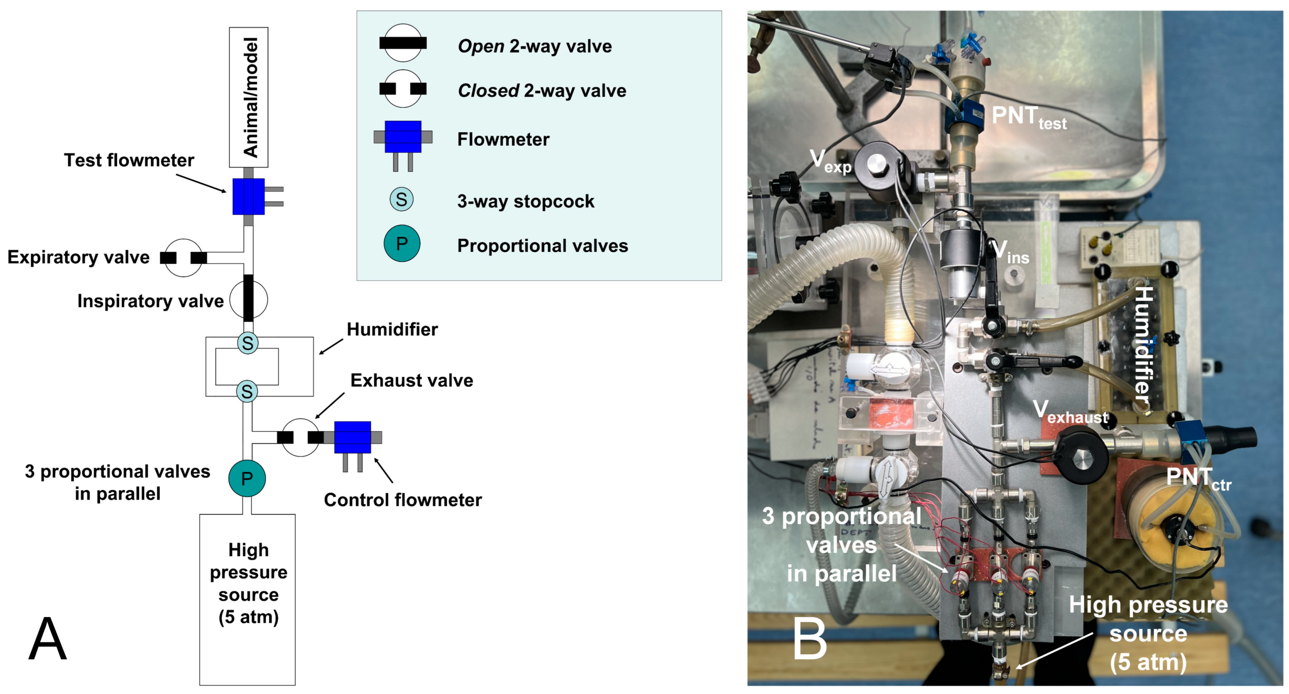 Fluids 09 00142 g003
