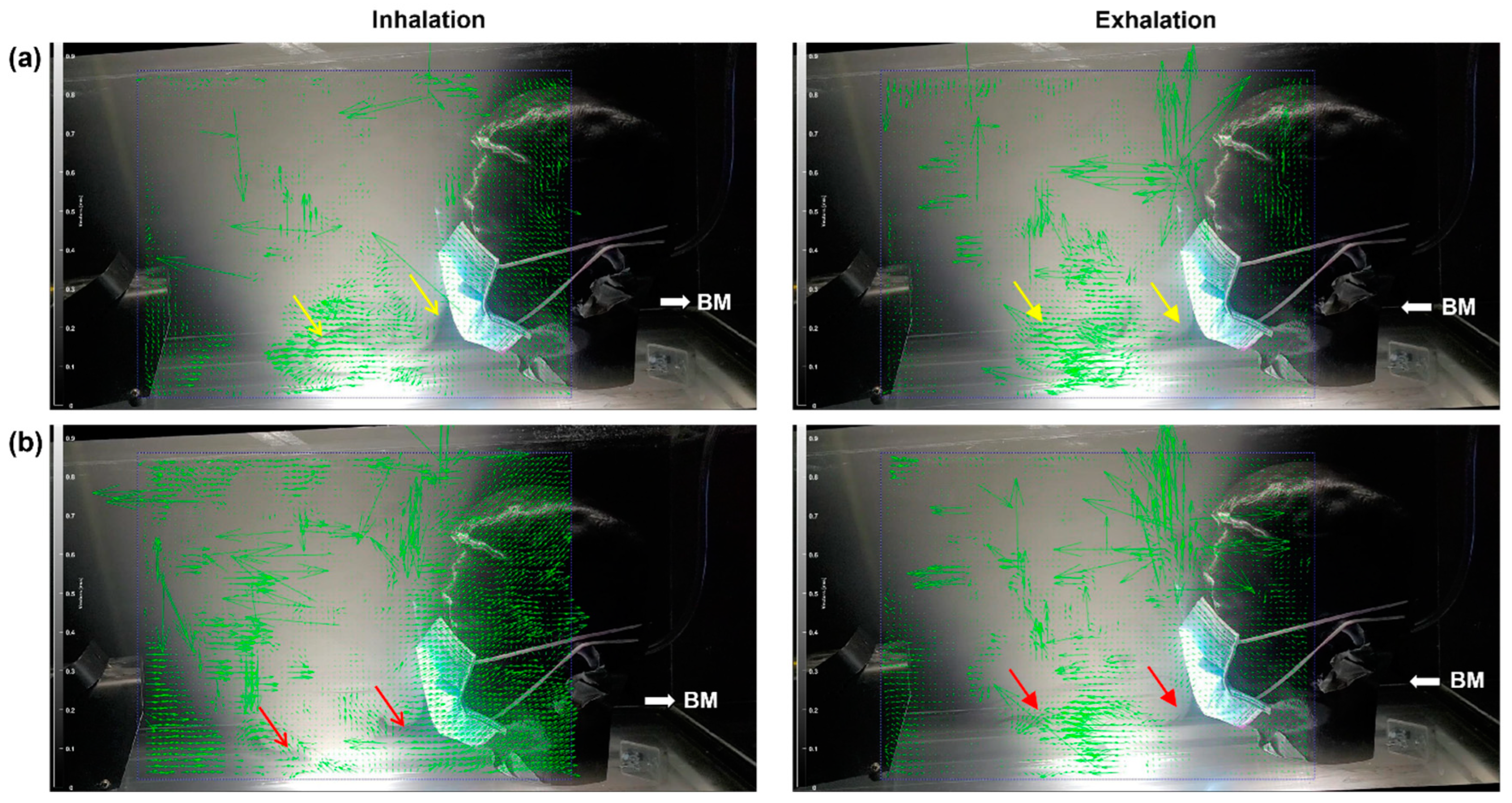 Fluids 09 00166 g008