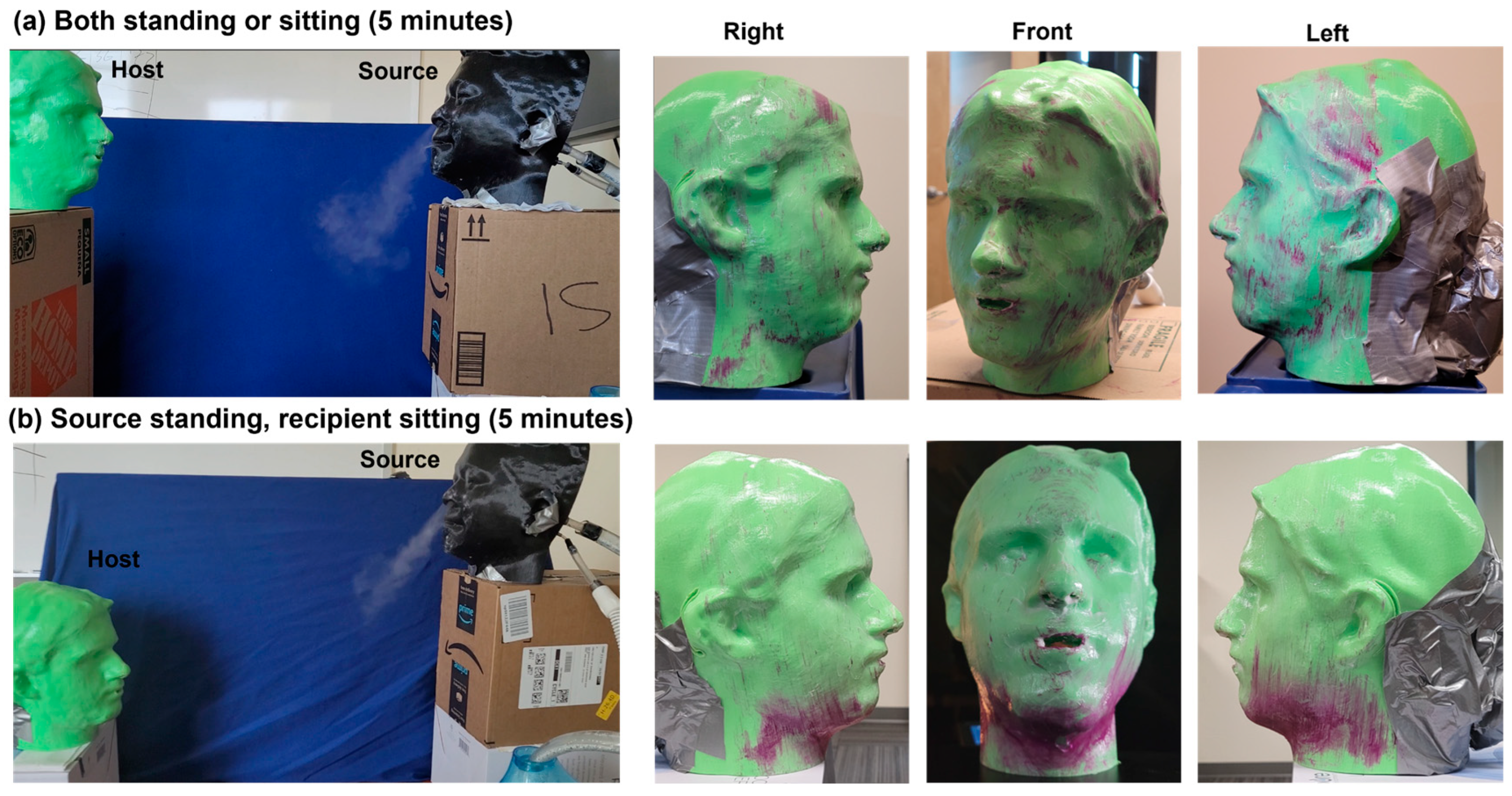 Fluids 09 00166 g009