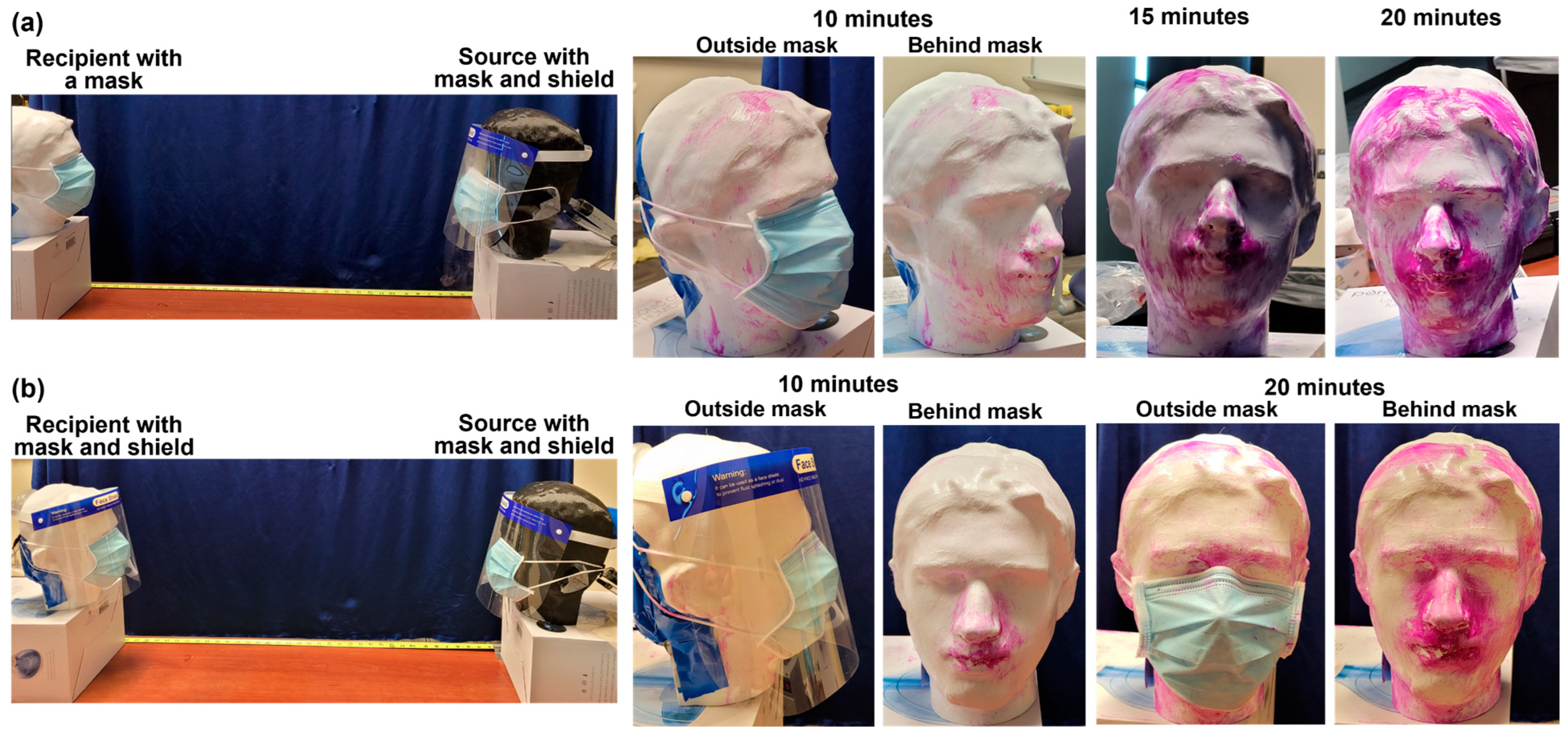 Fluids 09 00166 g010