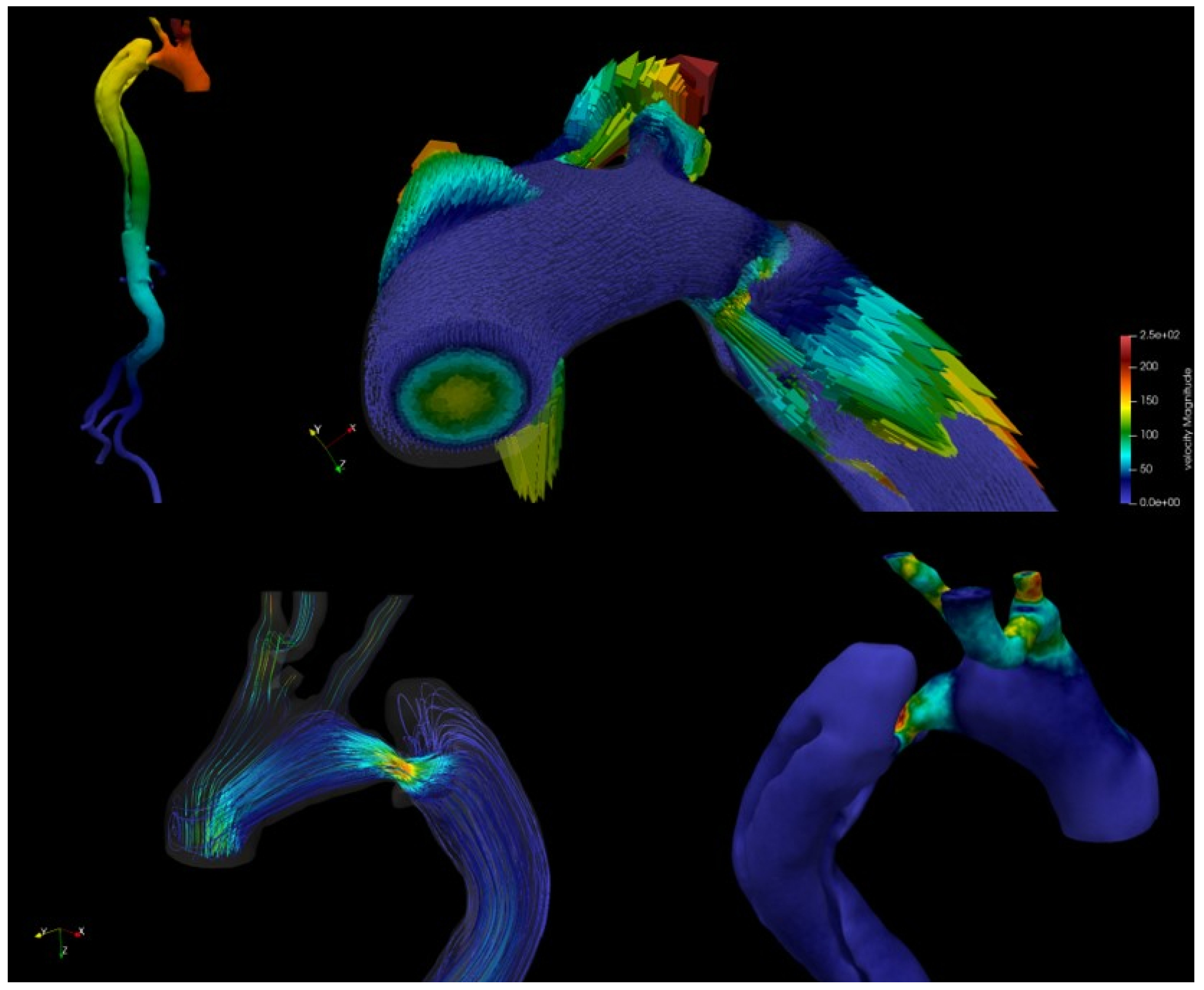 Fluids 09 00178 g005