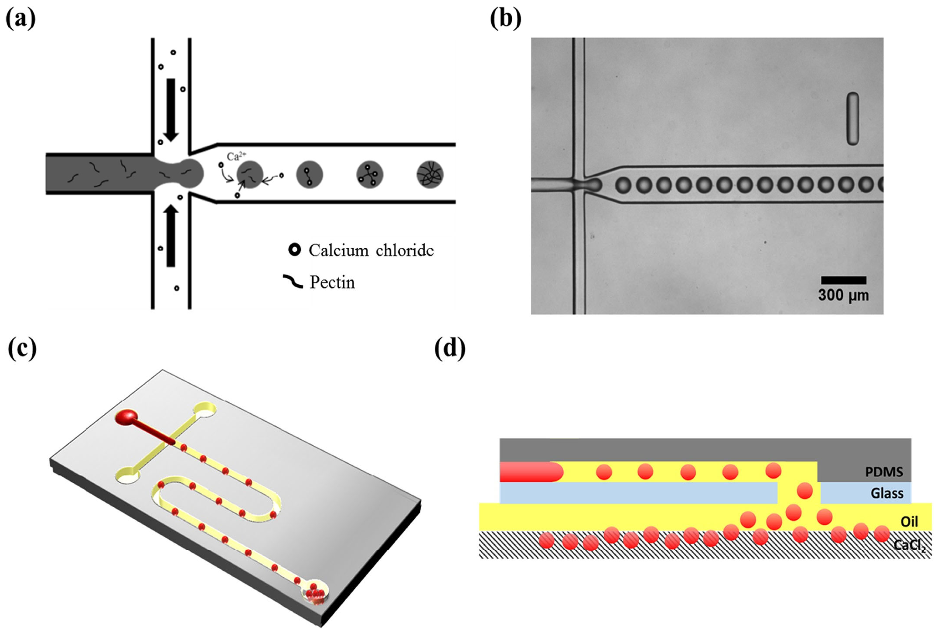 Fluids 09 00184 g002