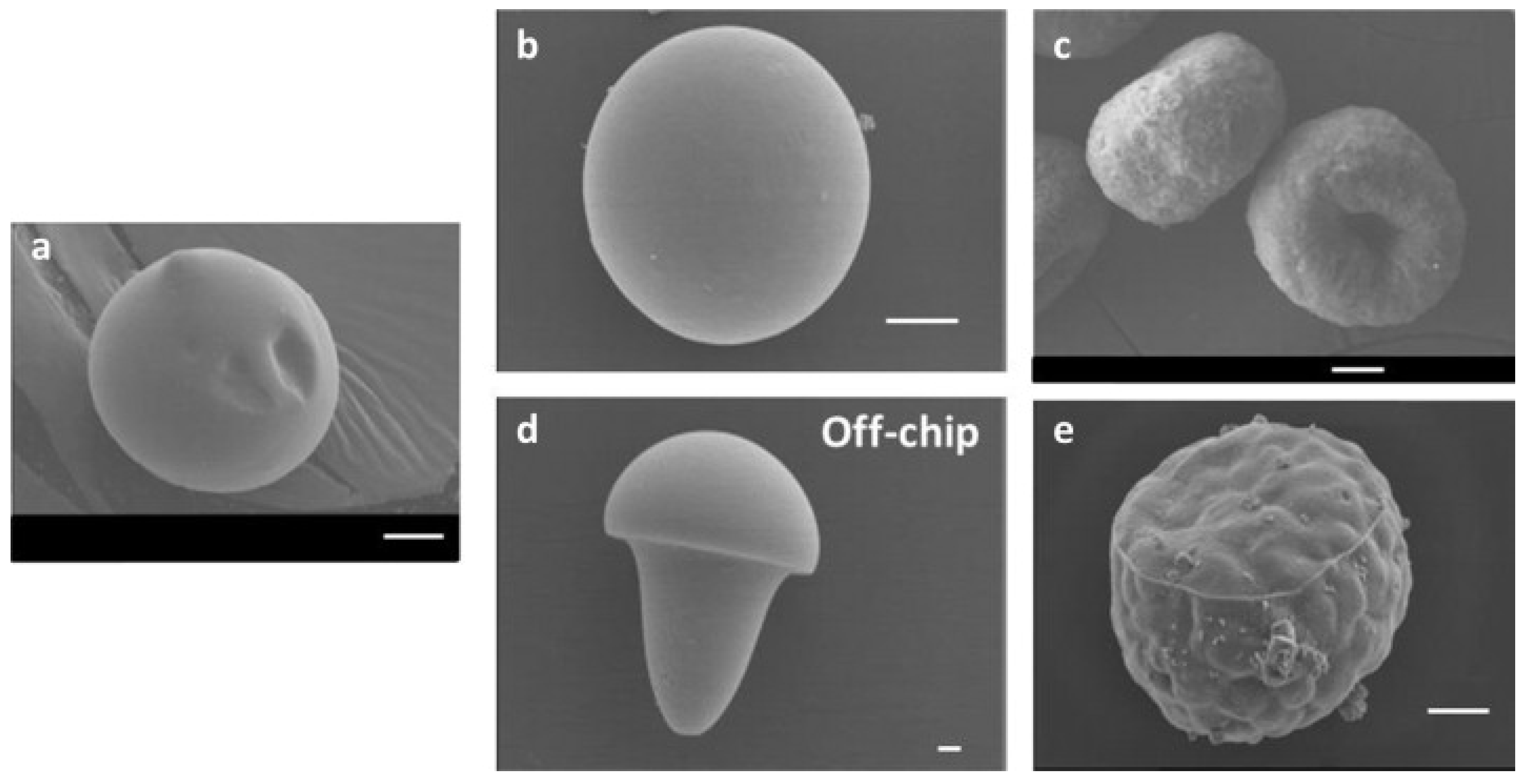 Fluids 09 00184 g003