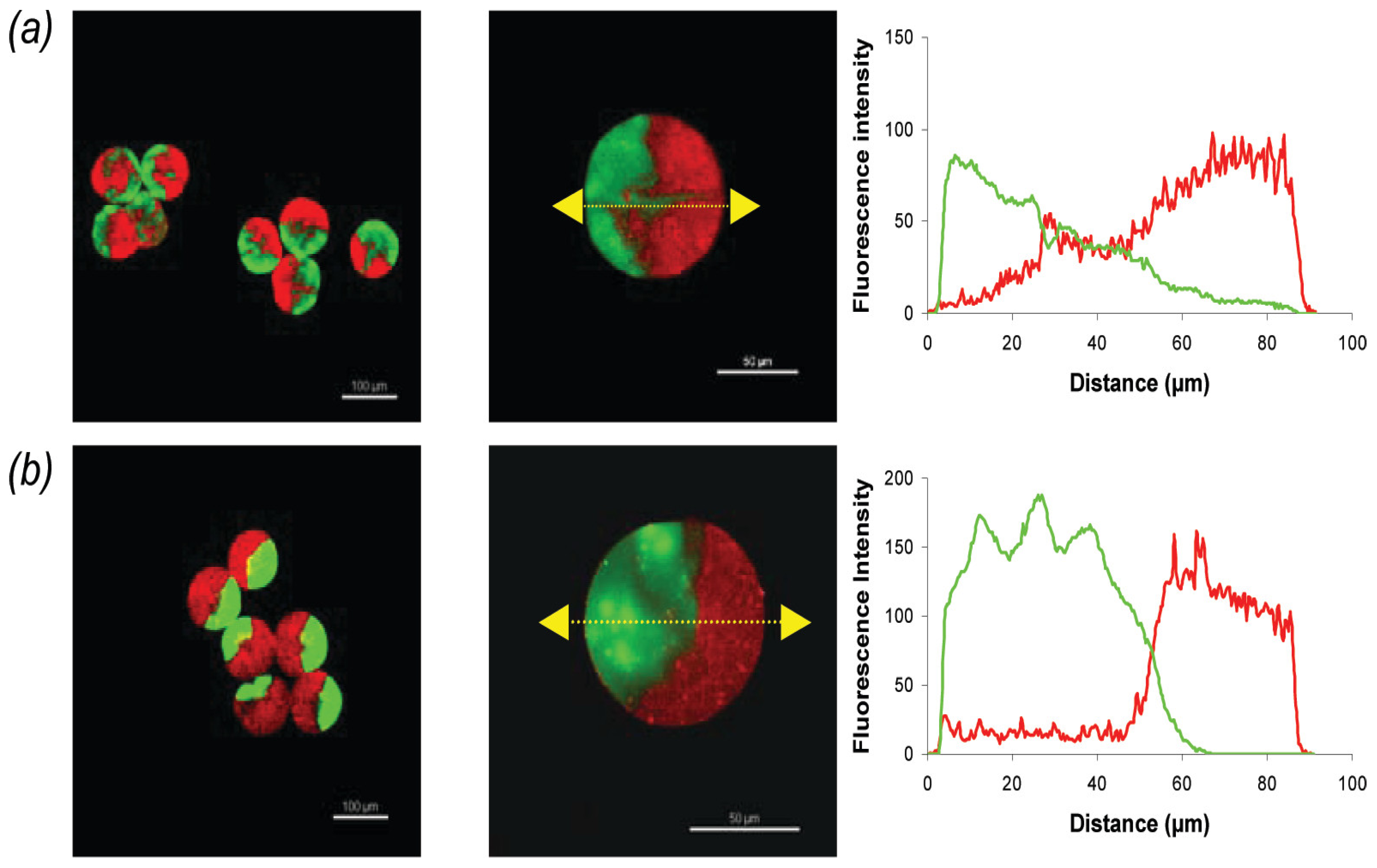 Fluids 09 00184 g006
