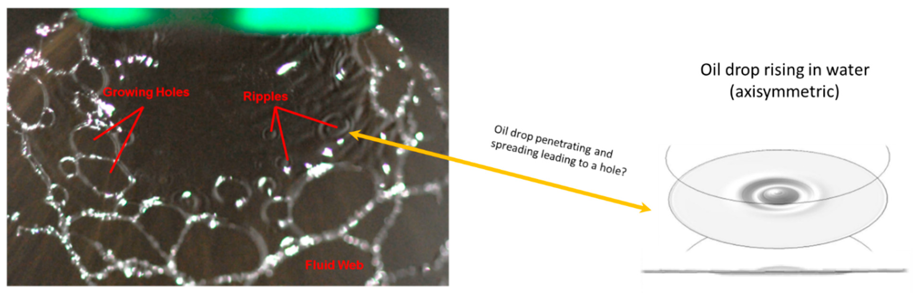 Fluids 09 00186 g011