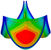 Fluids 09 00209 i006