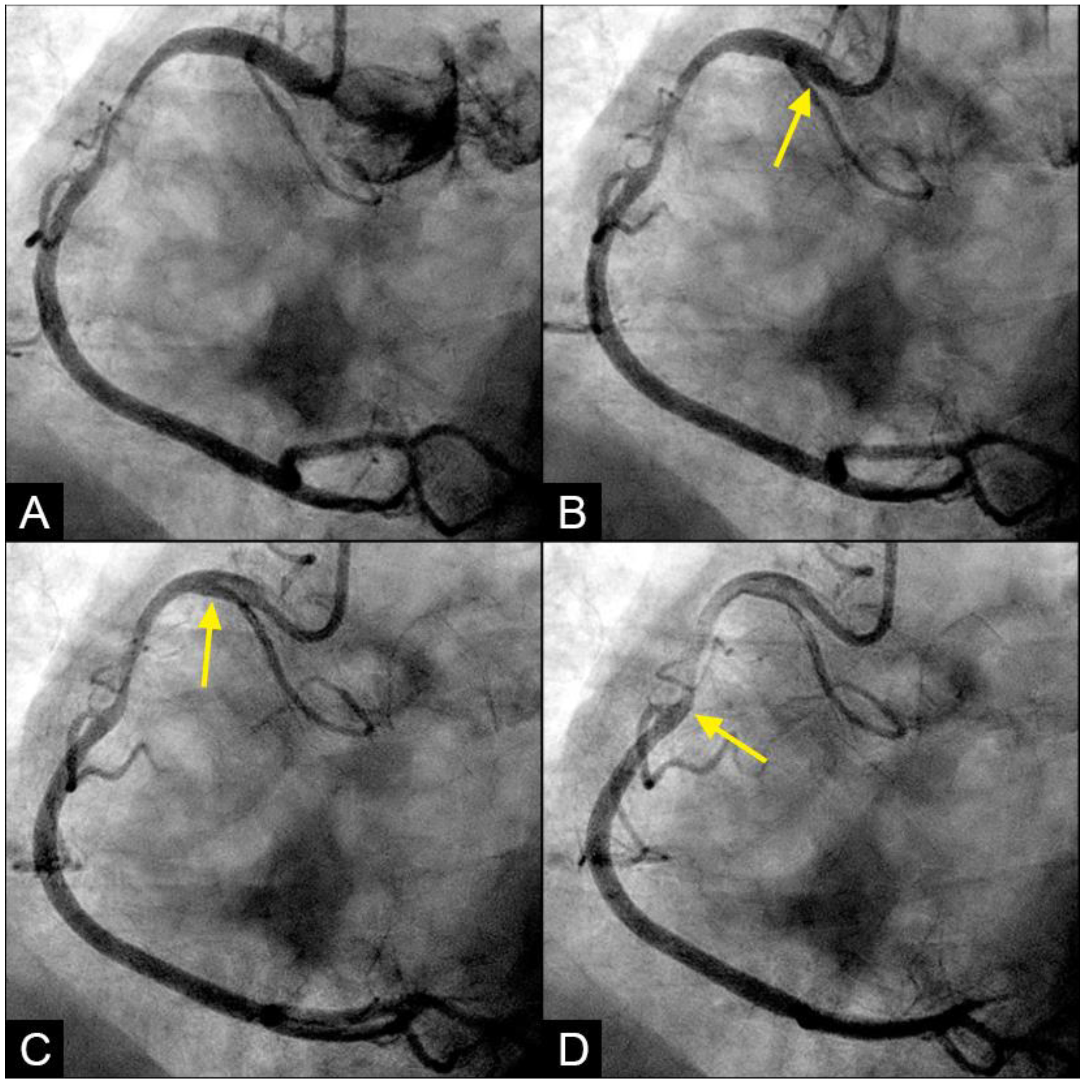 Fluids 09 00222 g009a
