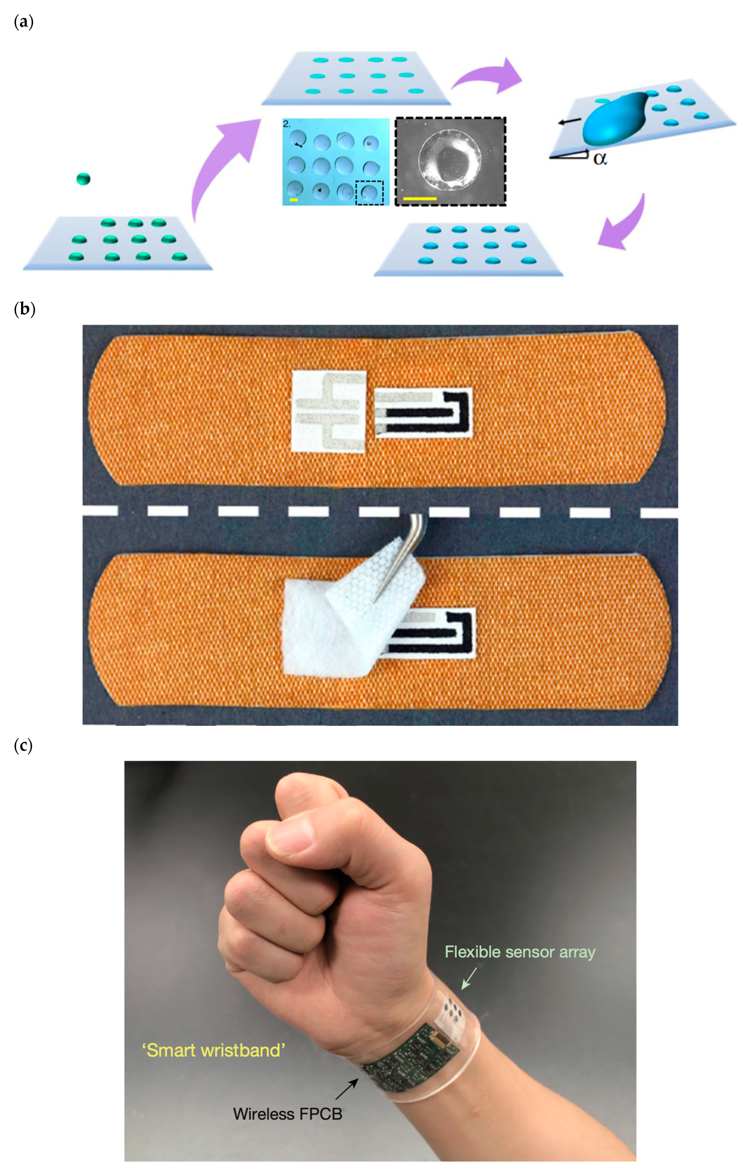 Fluids 09 00223 g002