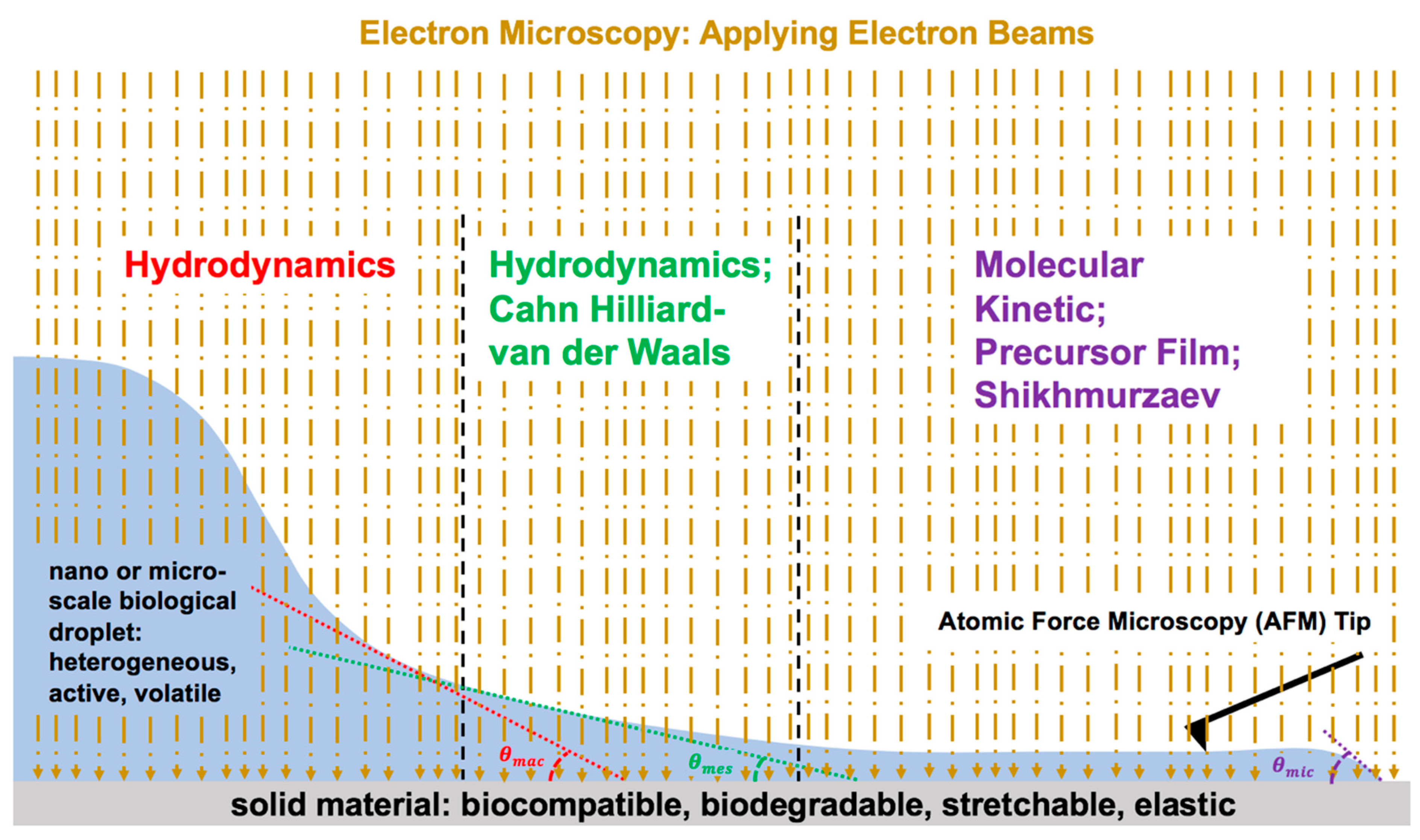 Fluids 09 00223 g009