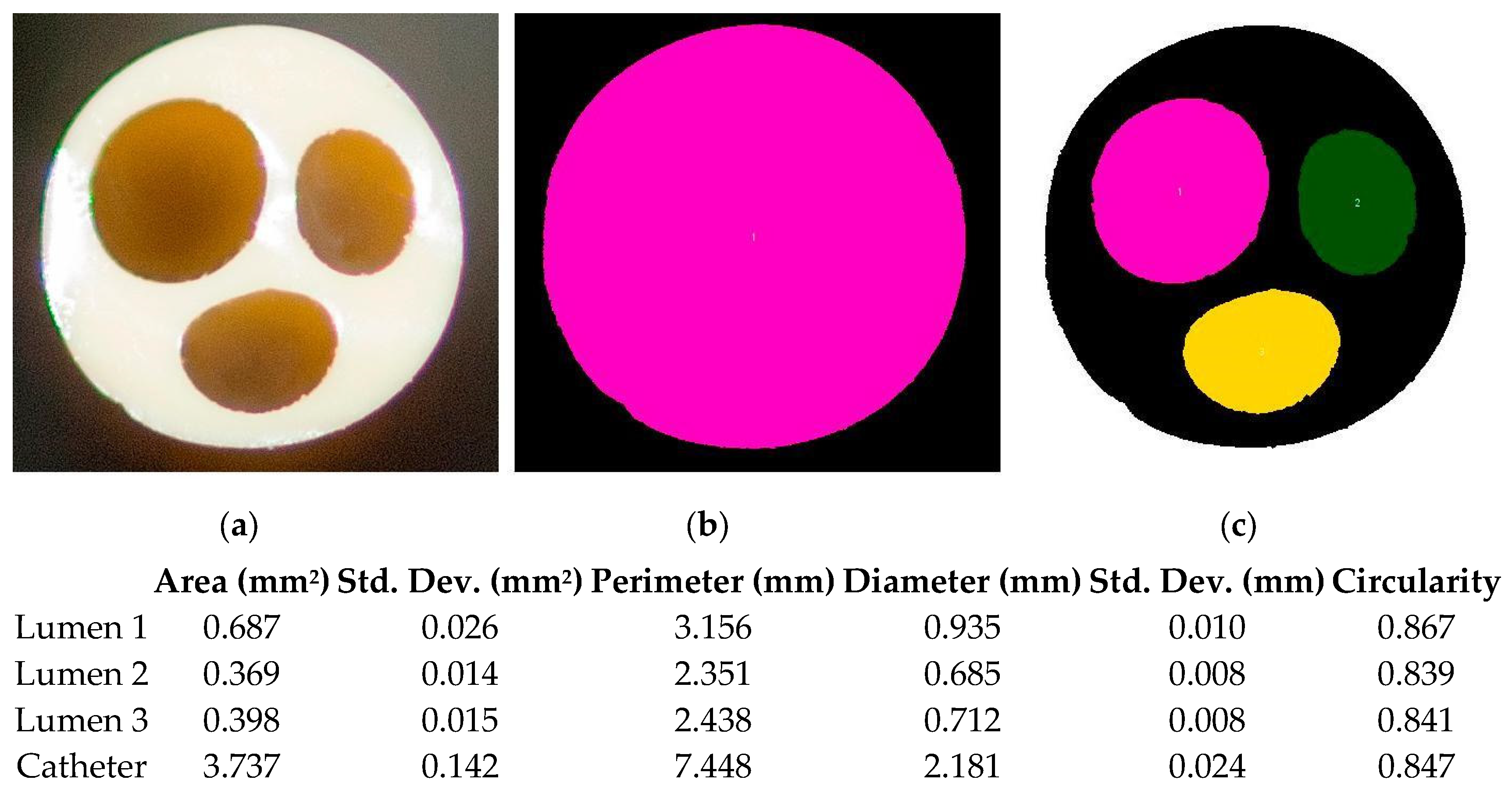 Fluids 09 00245 g001