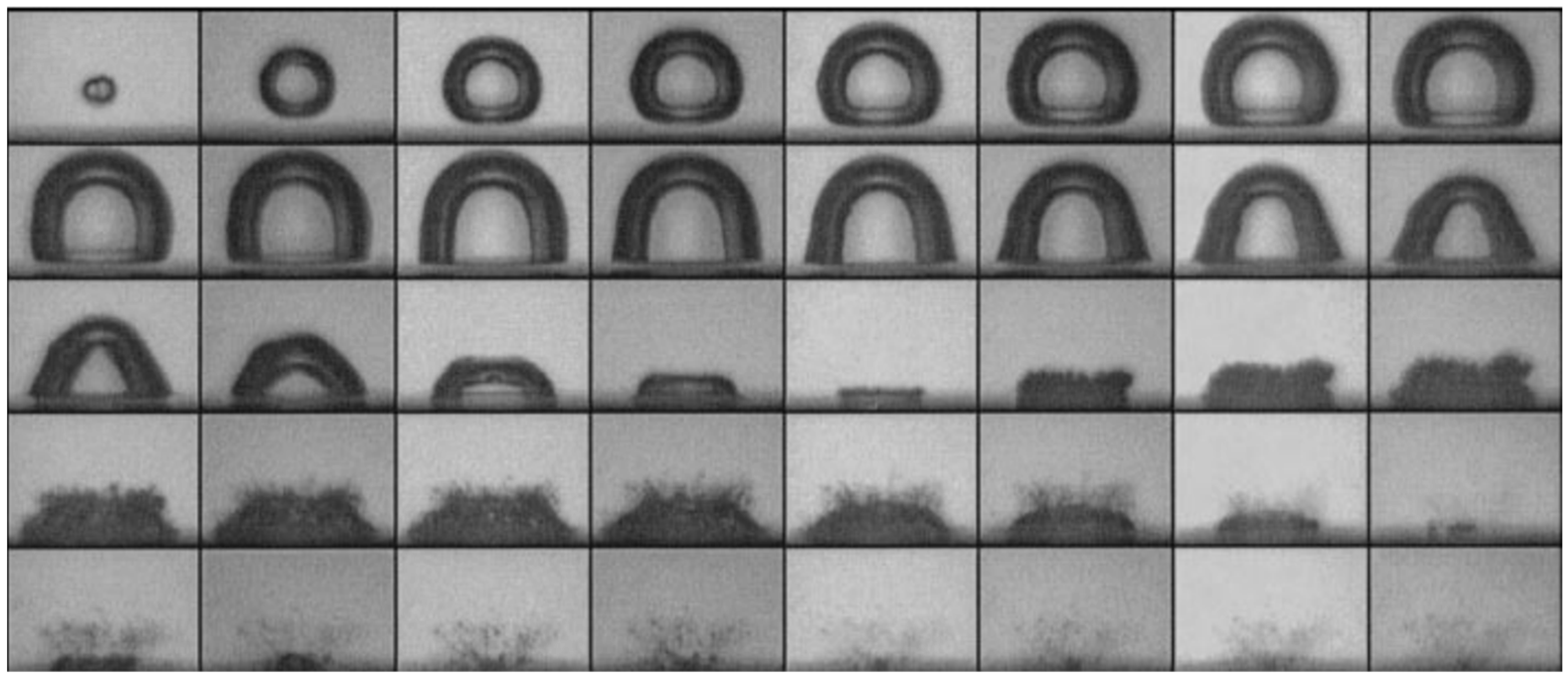 Fluids 09 00249 g004